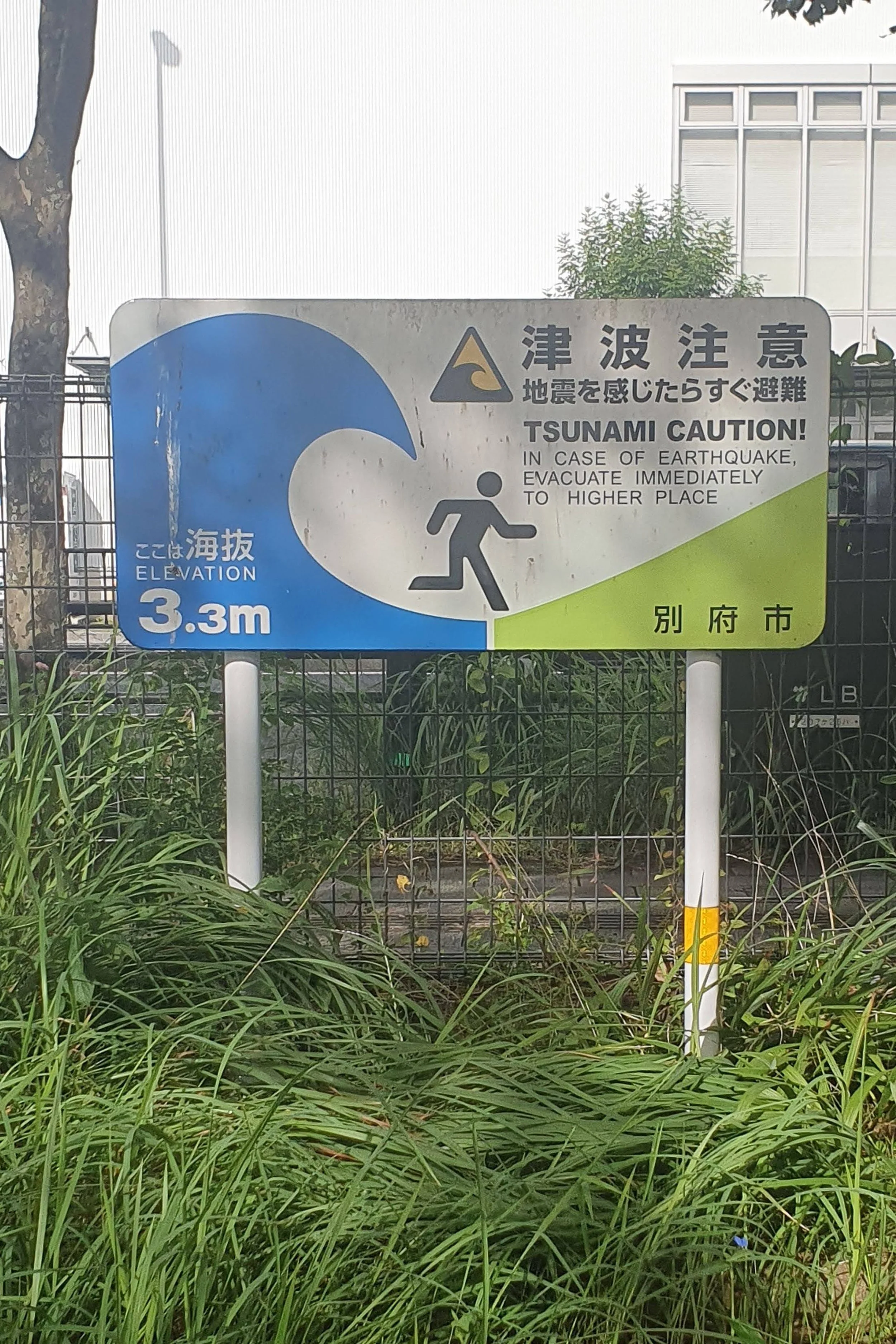 Nippon-0824.jpg
