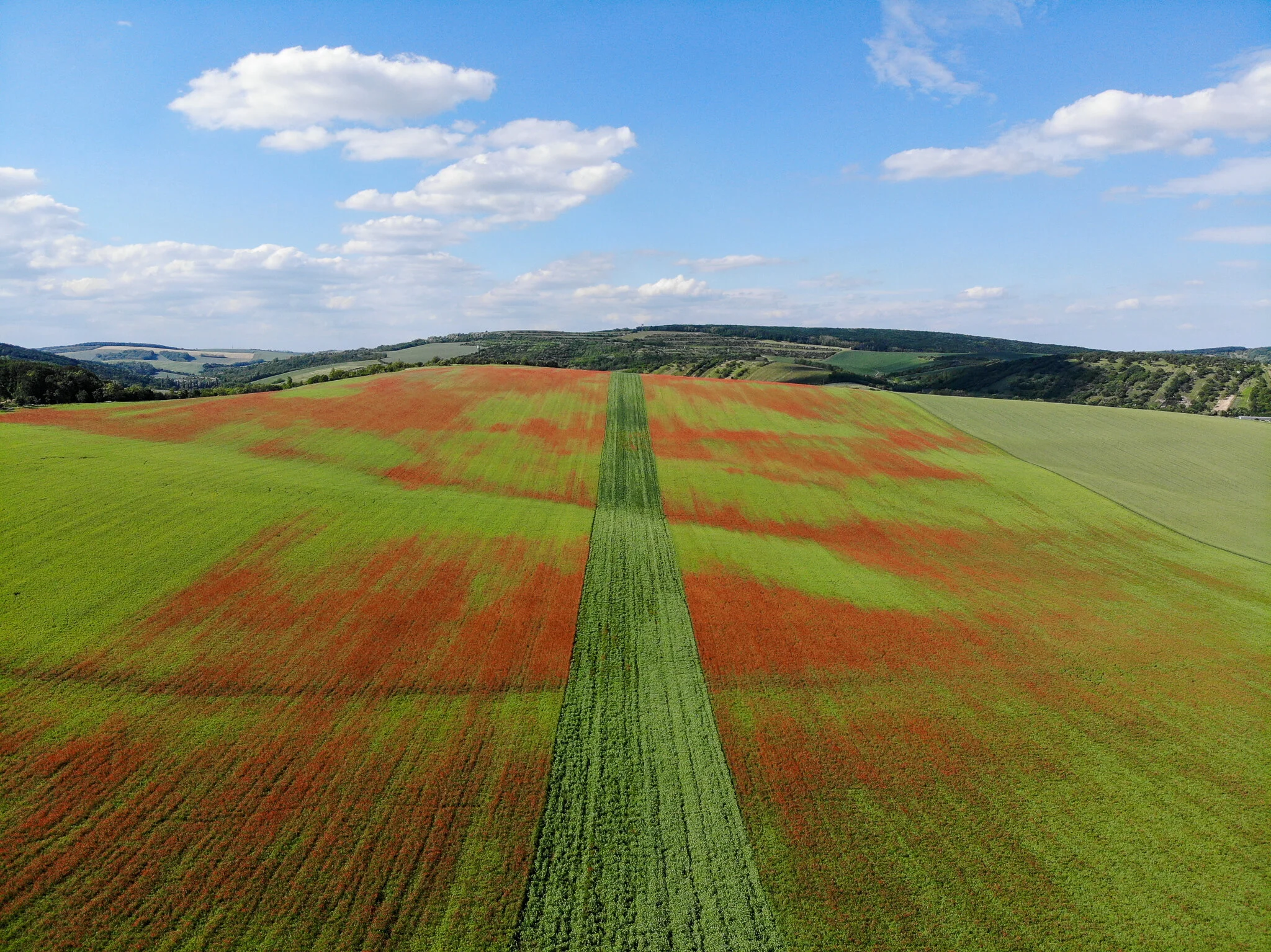 Czechia-52.jpg