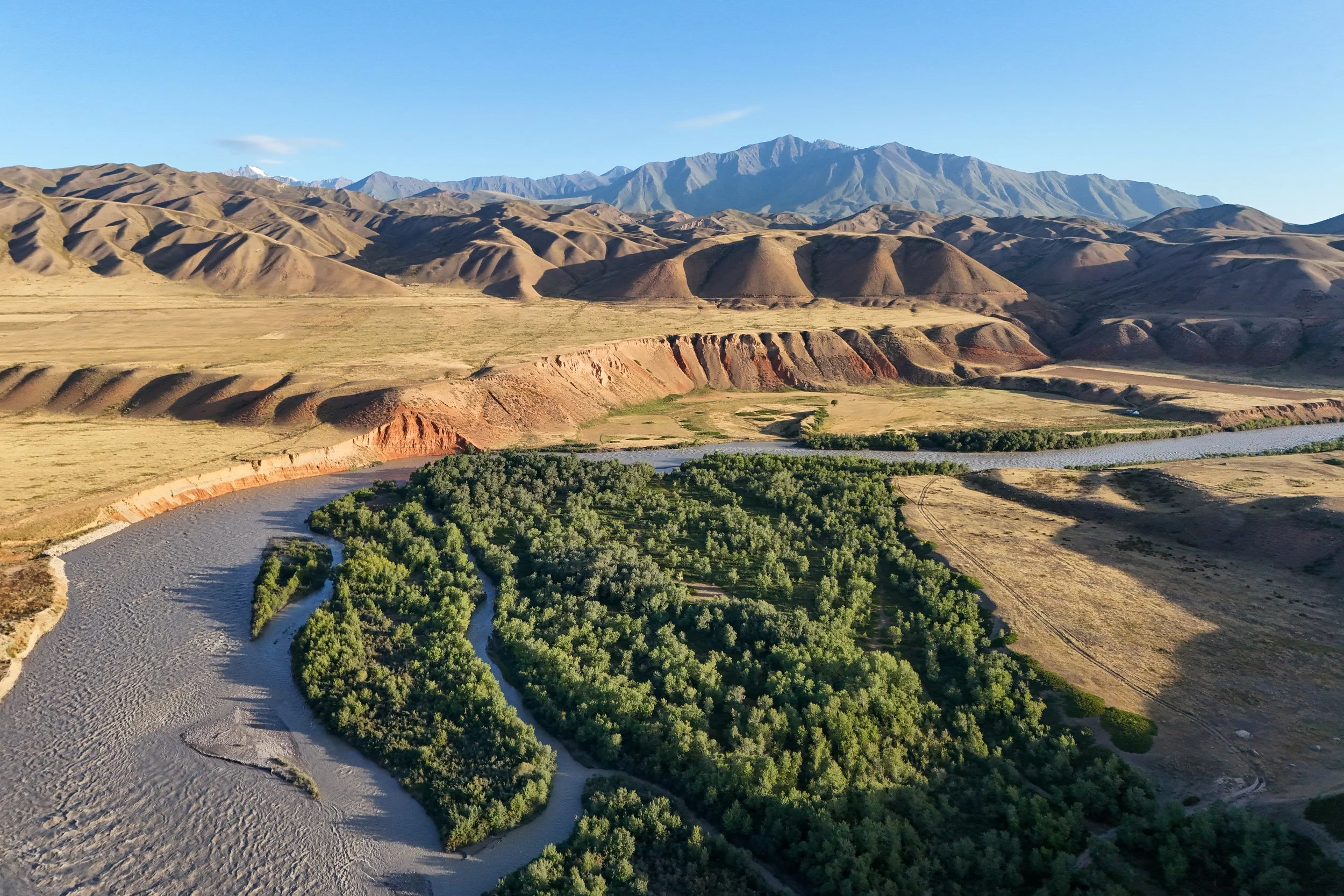 Great Game (2024)-0860.jpg