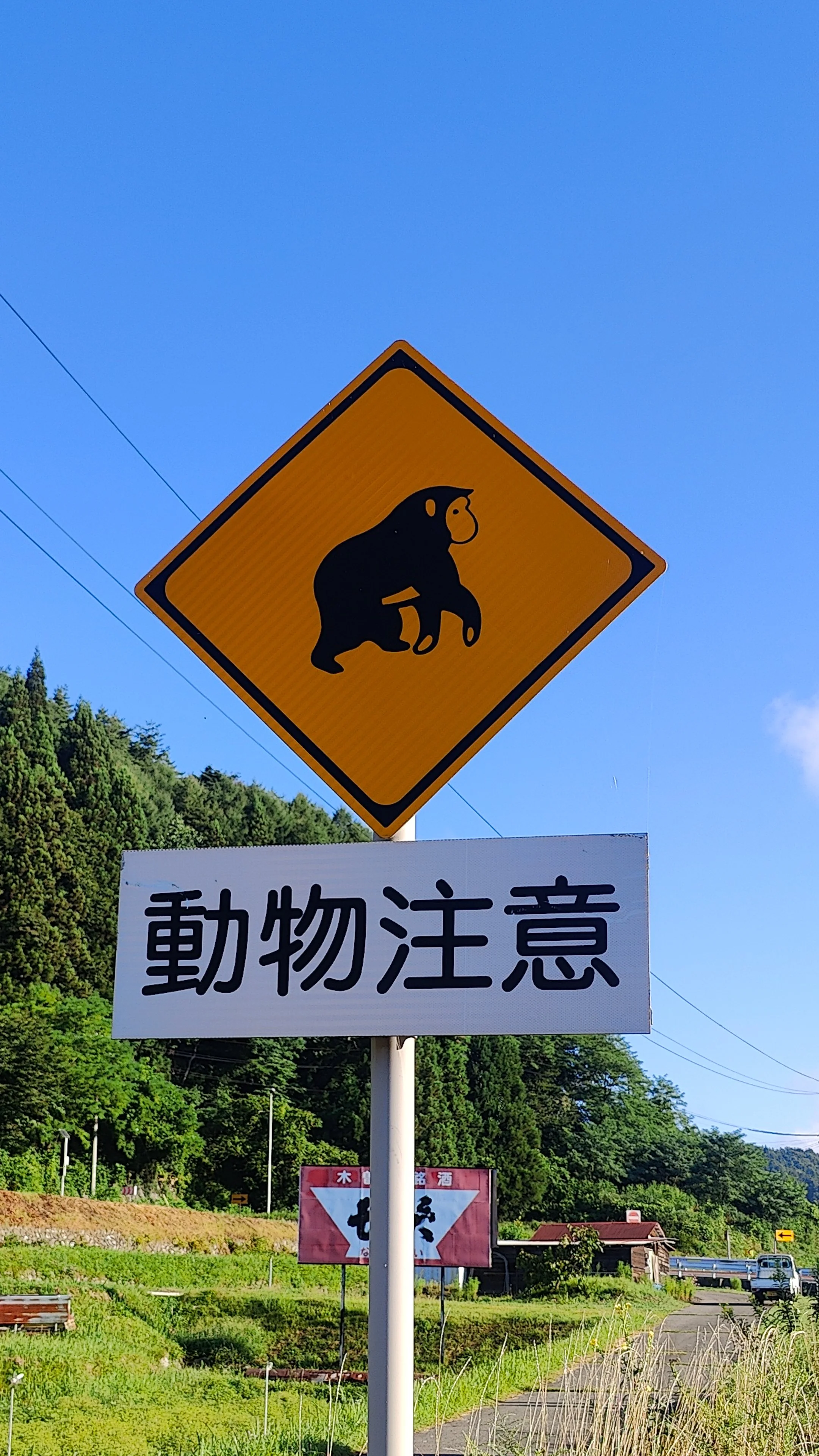 Nippon-0315.jpg