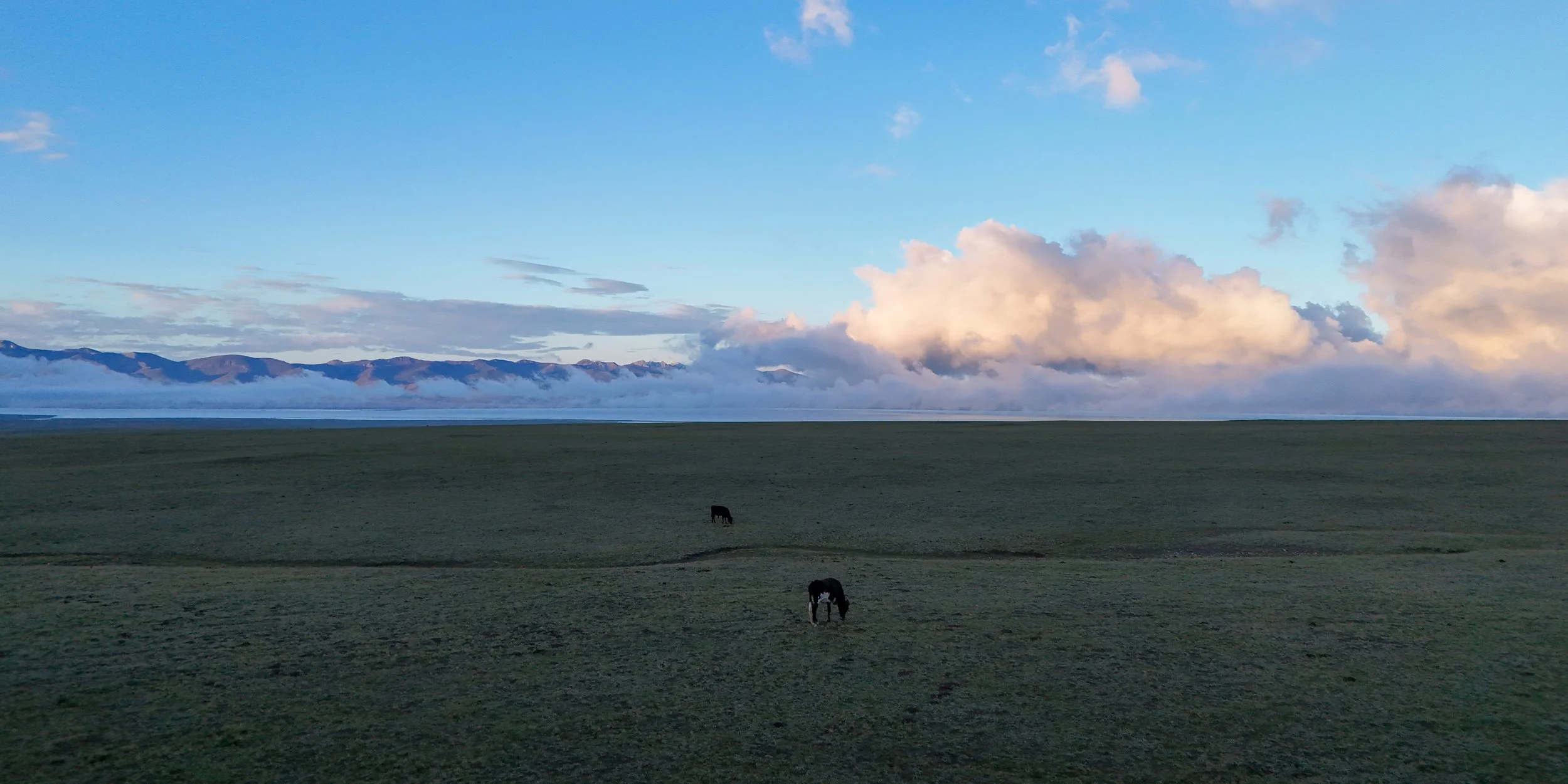 Great Game (2024)-522.jpg