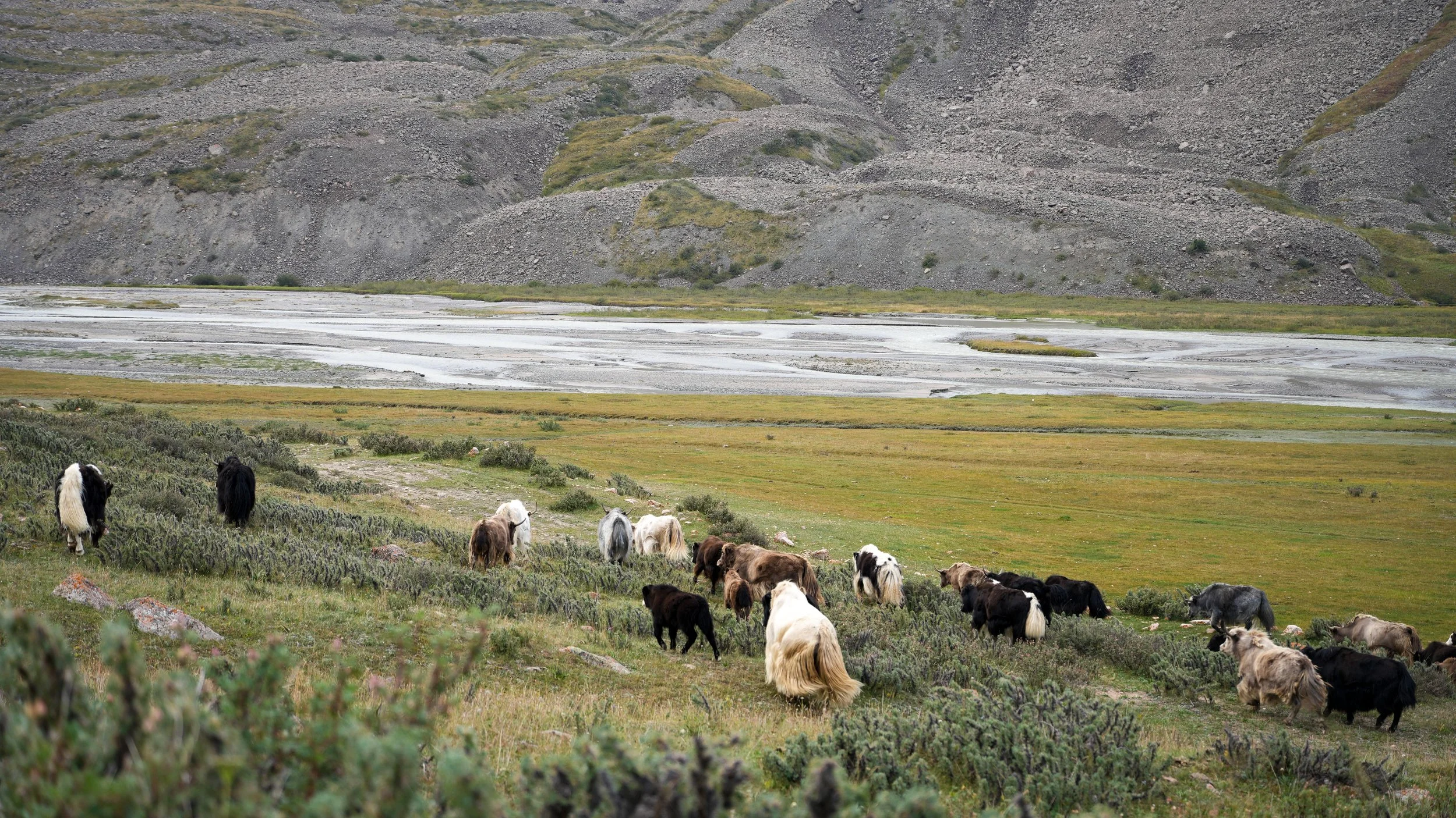 Great Game (2024)-0998.jpg