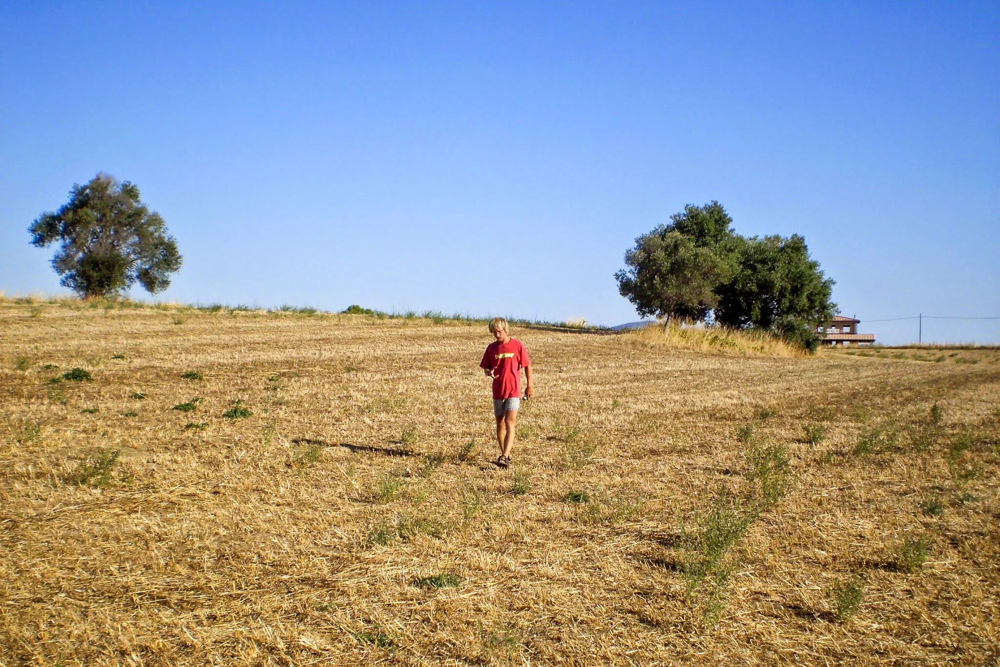 ilMagnicifo-148.jpg