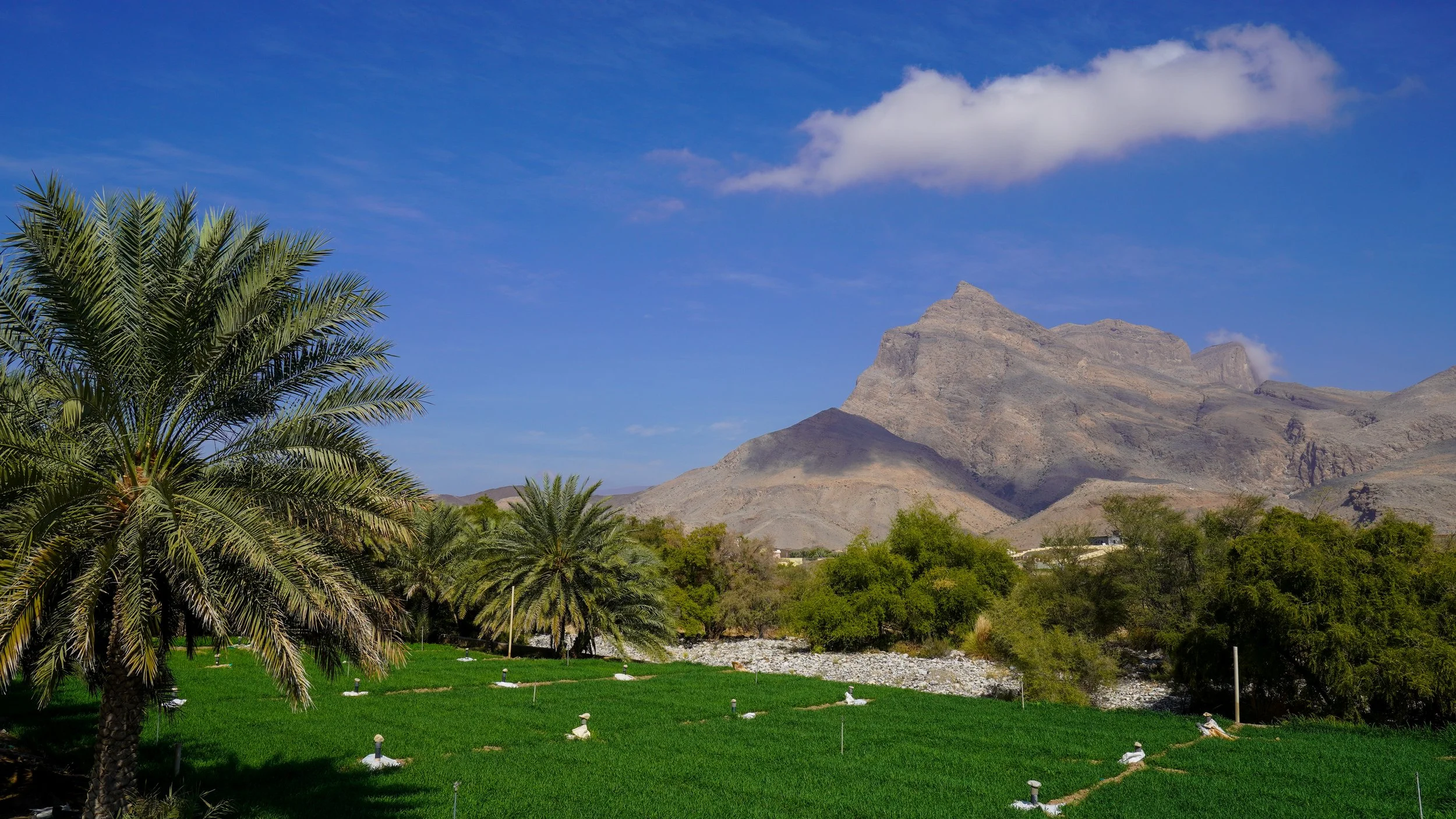 Oman-558.jpg