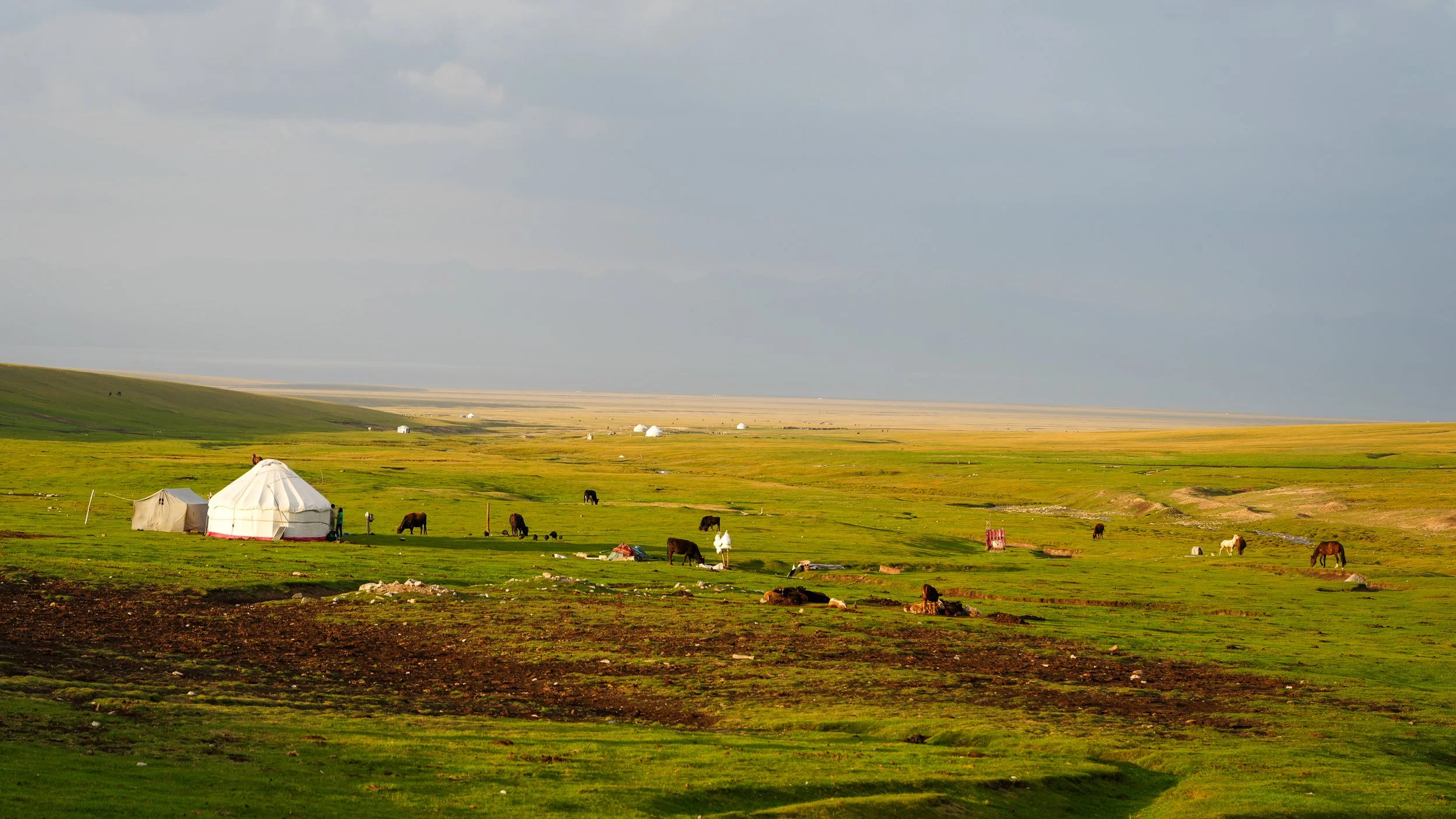 Great Game (2024)-400.jpg