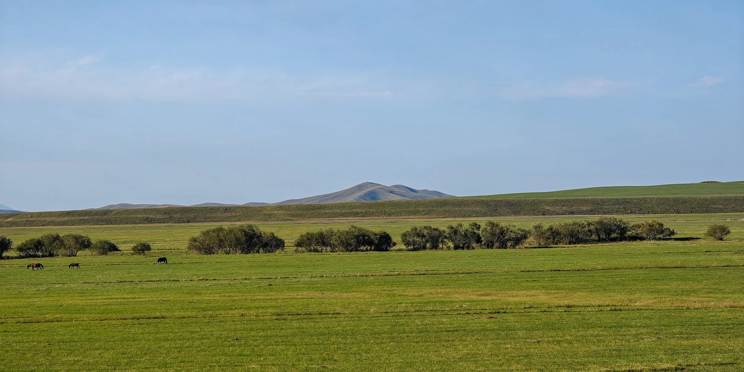 Great Game (2024)-1209.jpg