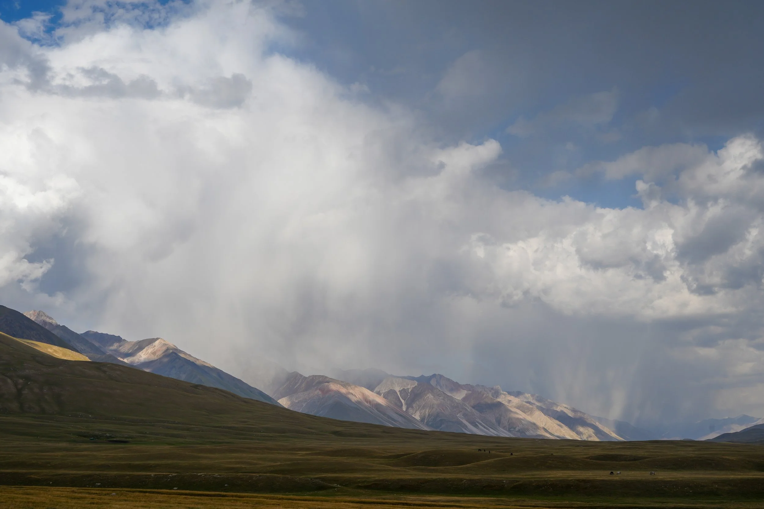 Great Game (2024)-0939.jpg