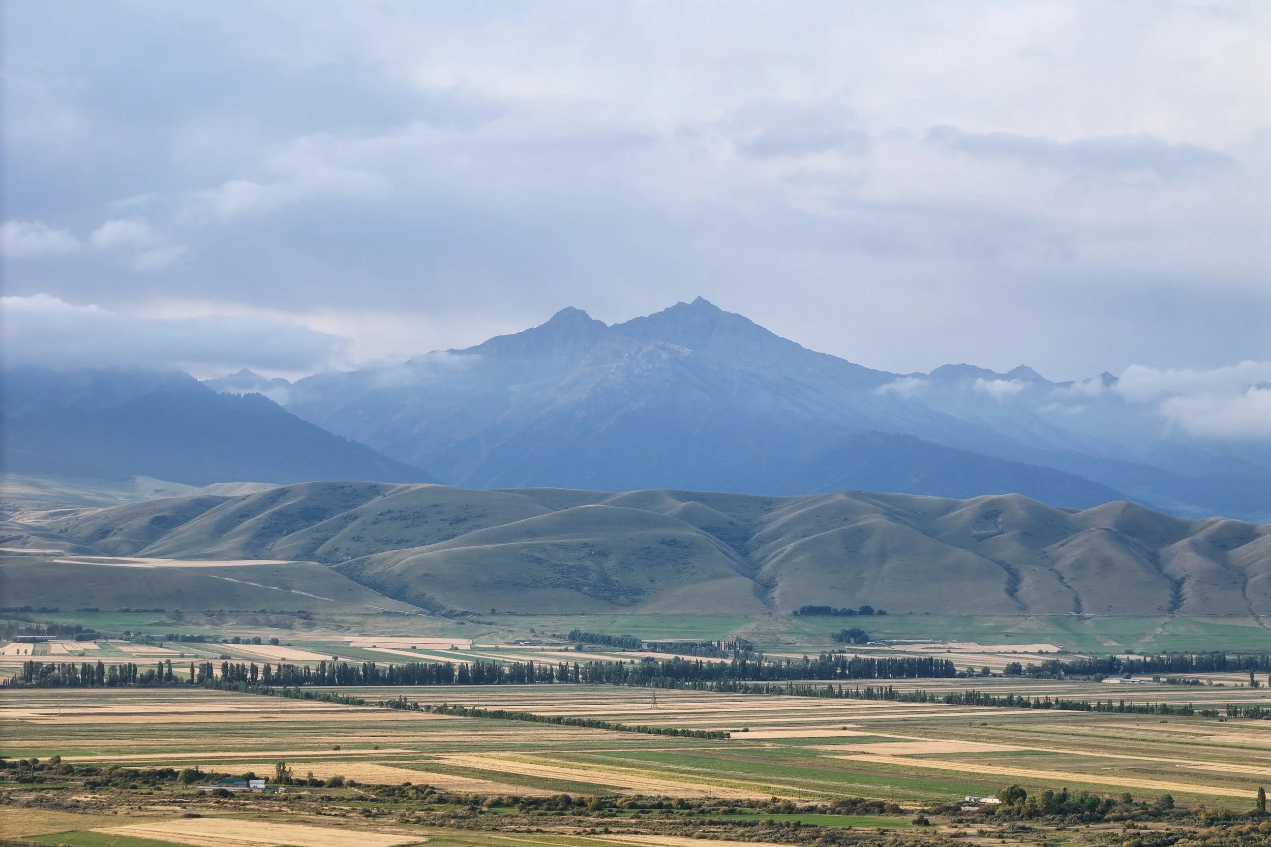 Great Game (2024)-1190.jpg