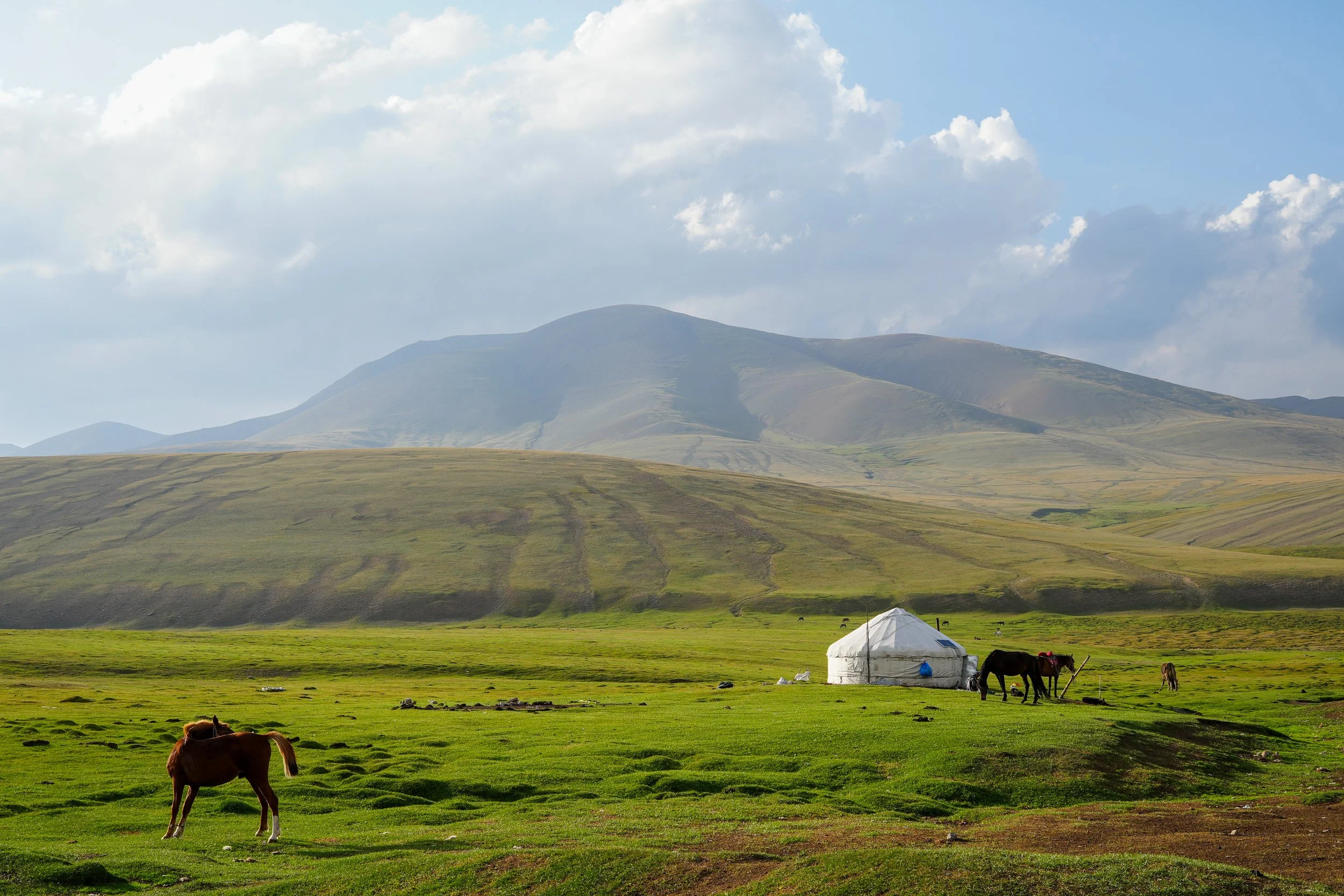 Great Game (2024)-399.jpg