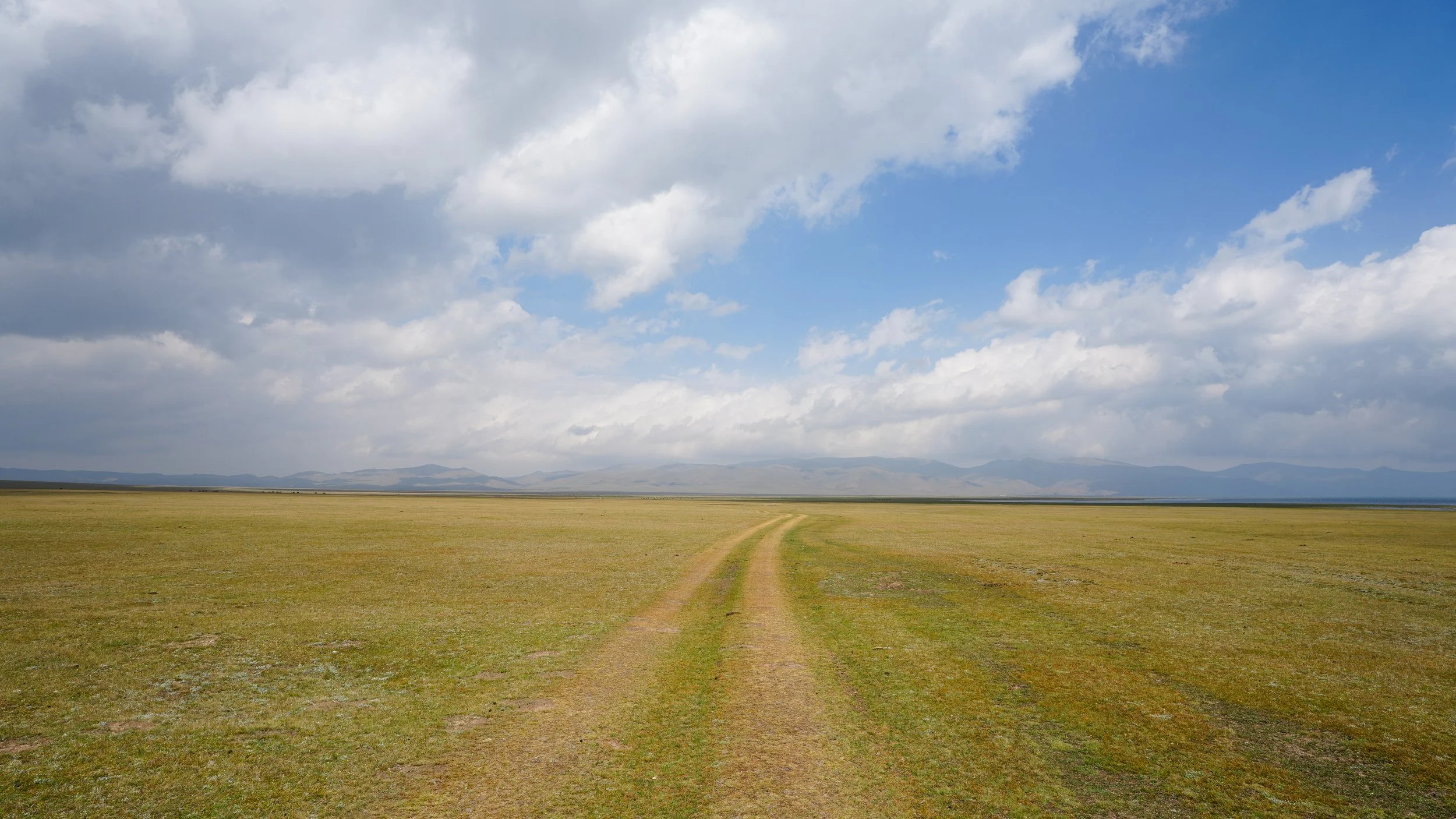 Great Game (2024)-449.jpg