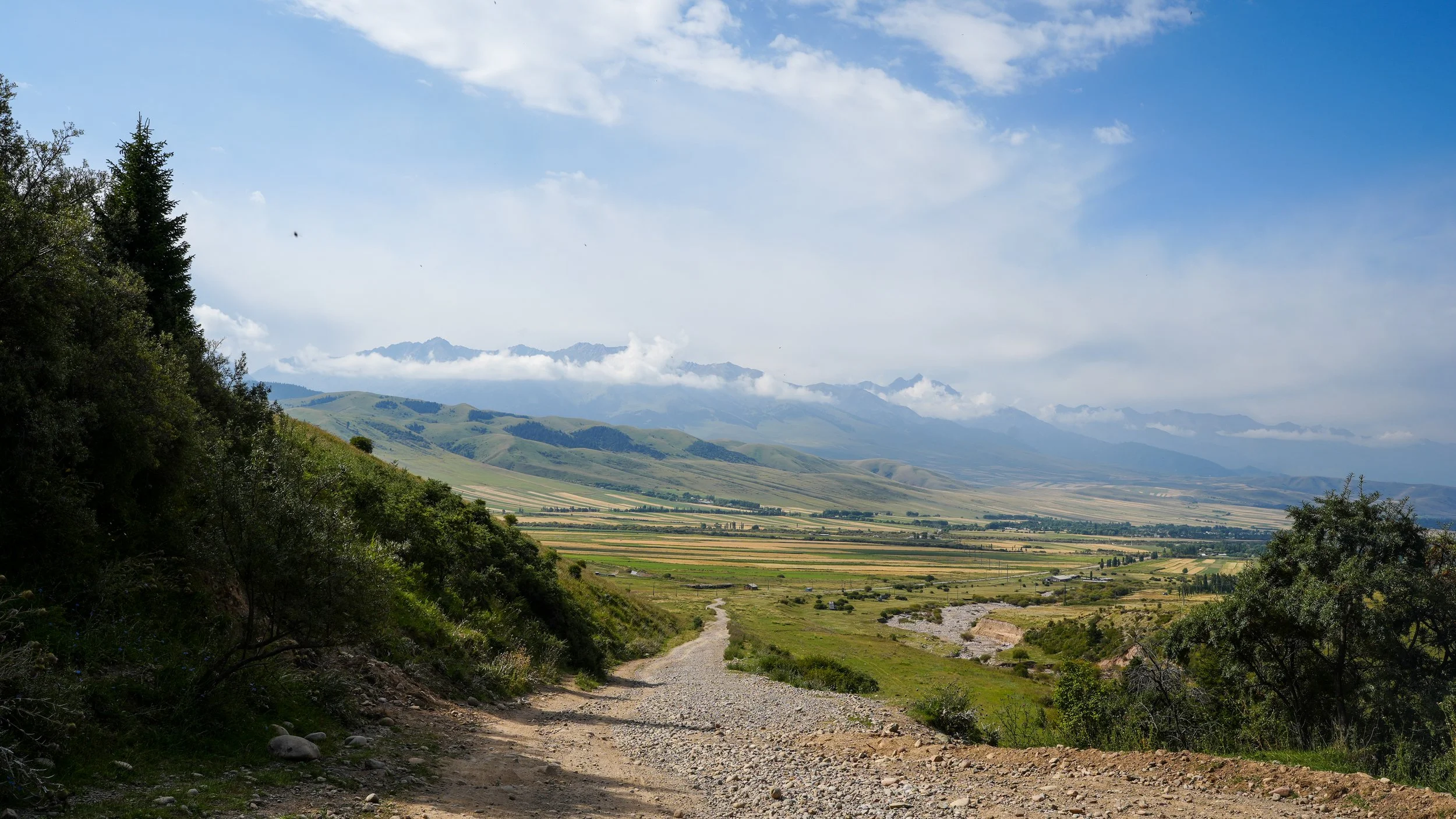 Great Game (2024)-1200.jpg