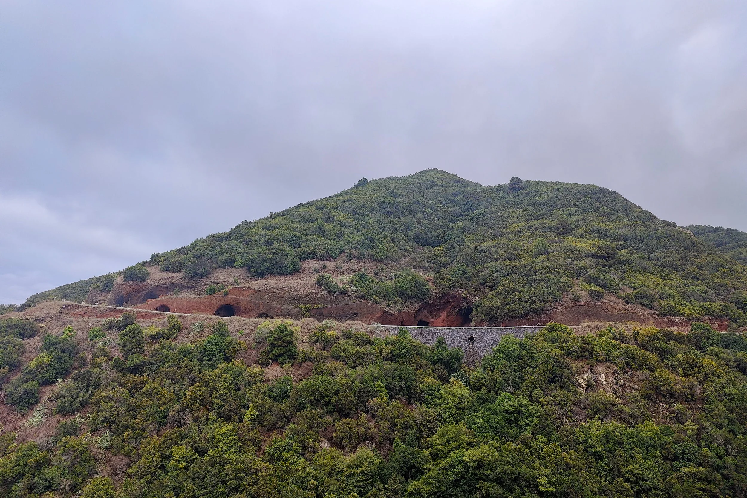 Picodromo-190.jpg