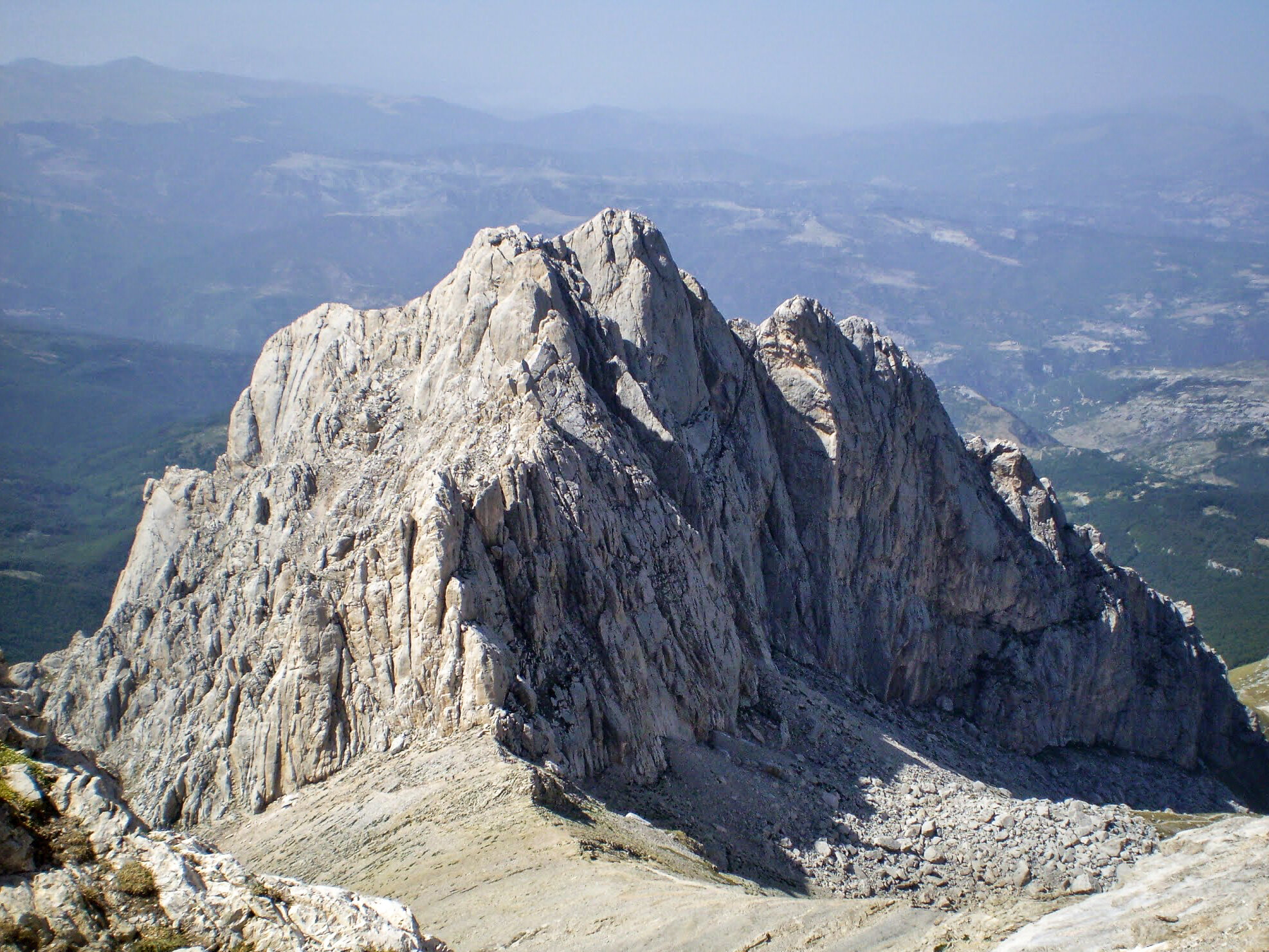 ilMagnicifo-100.jpg