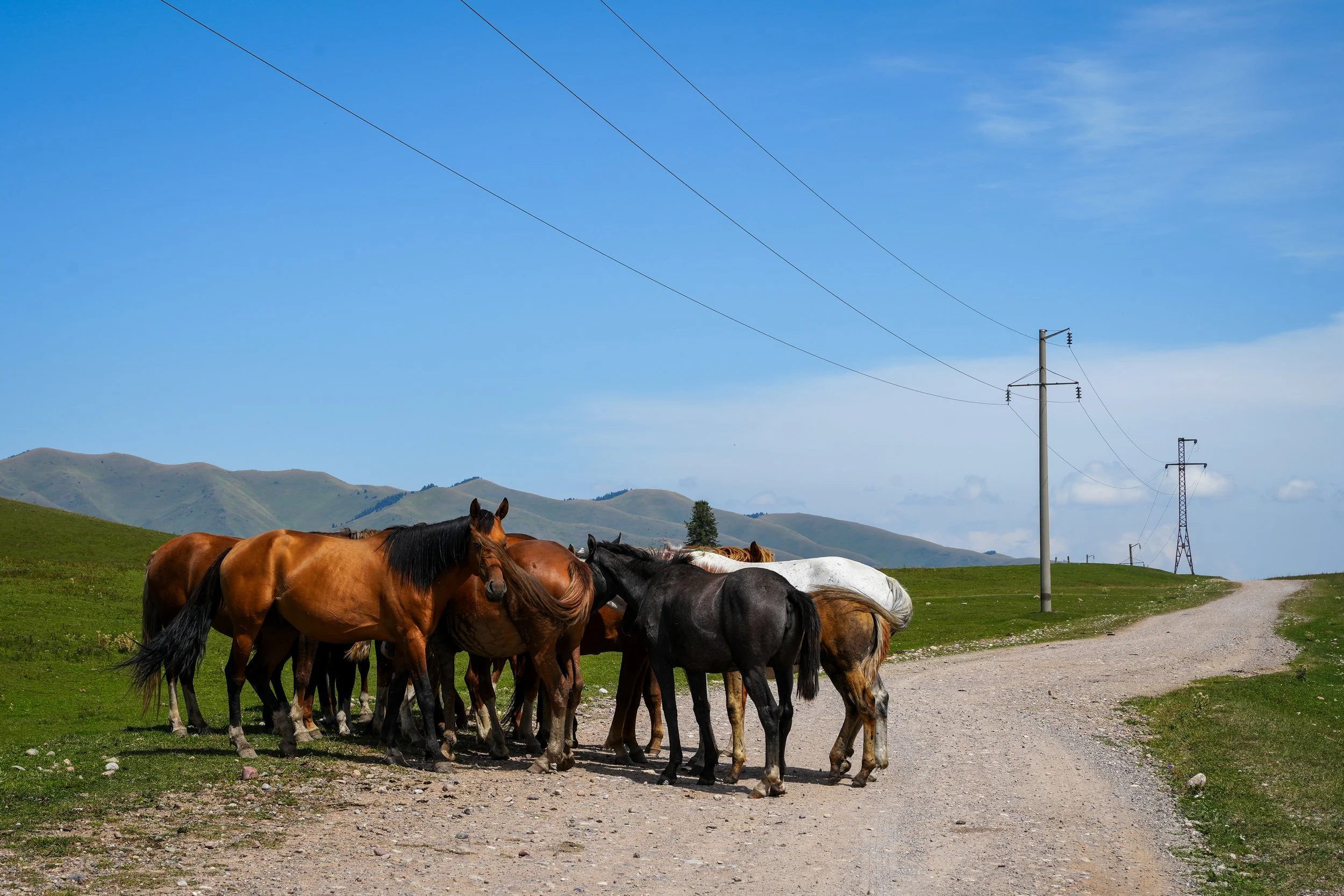 Great Game (2024)-1205.jpg