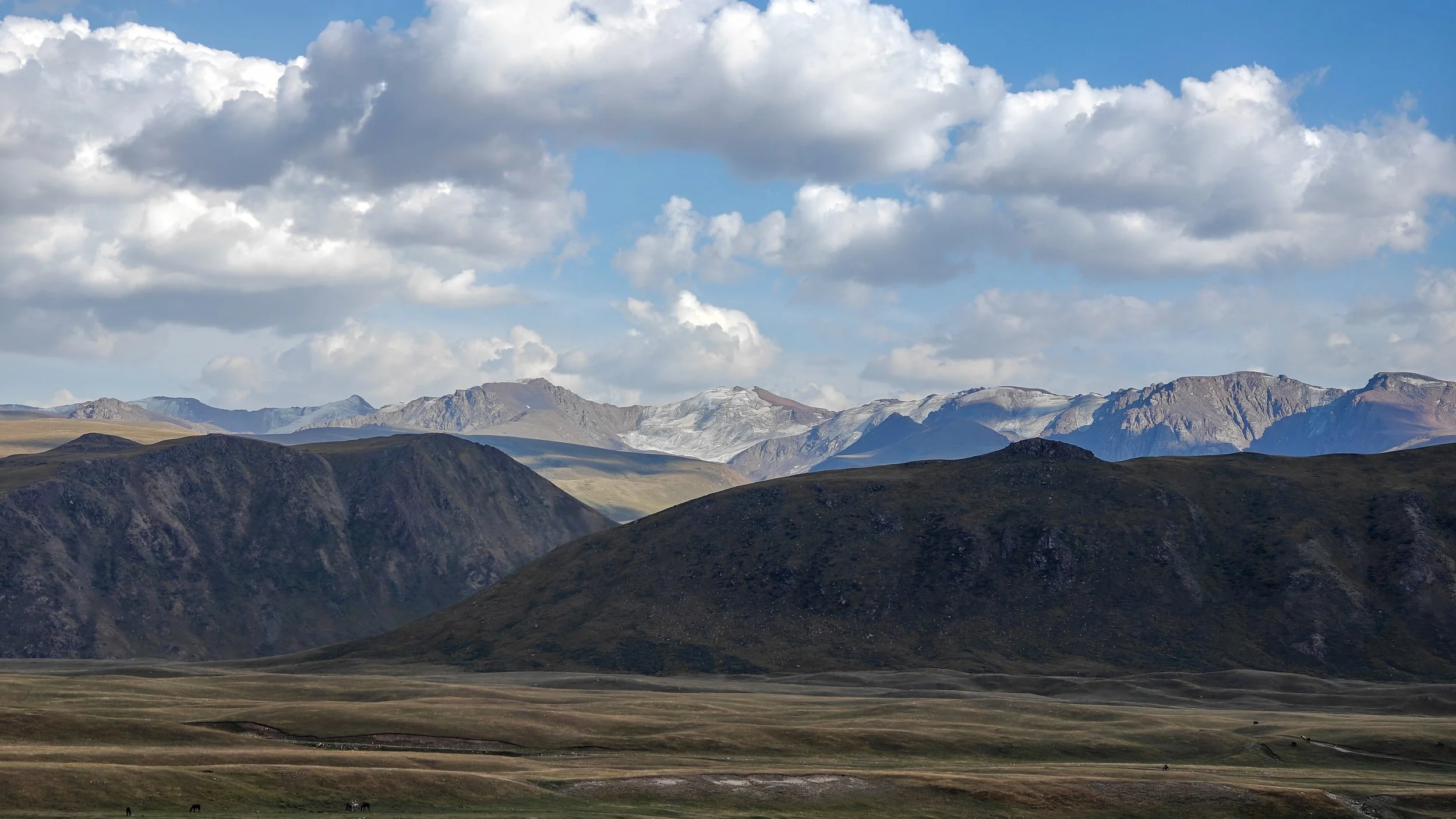 Great Game (2024)-0947.jpg