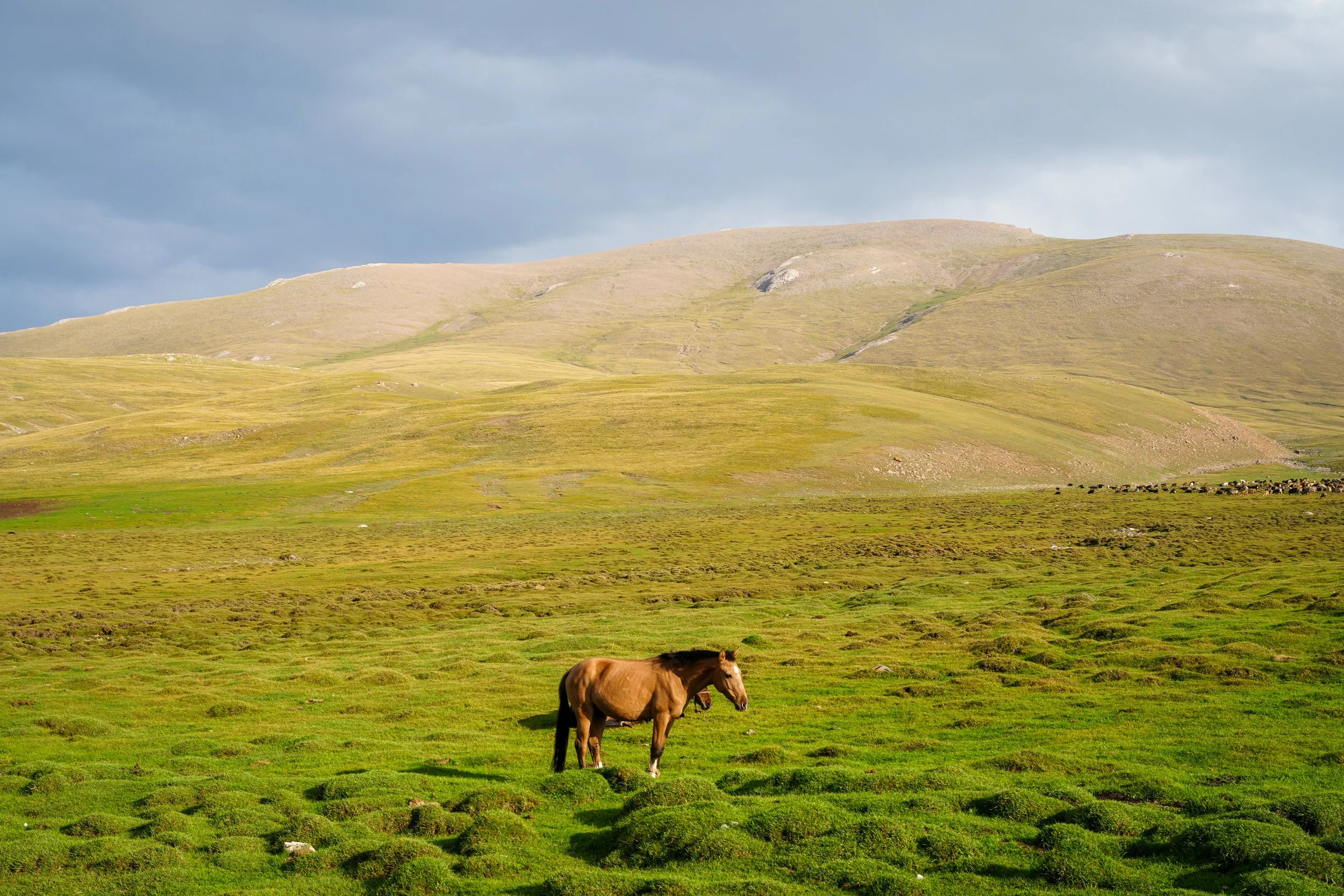 Great Game (2024)-389.jpg