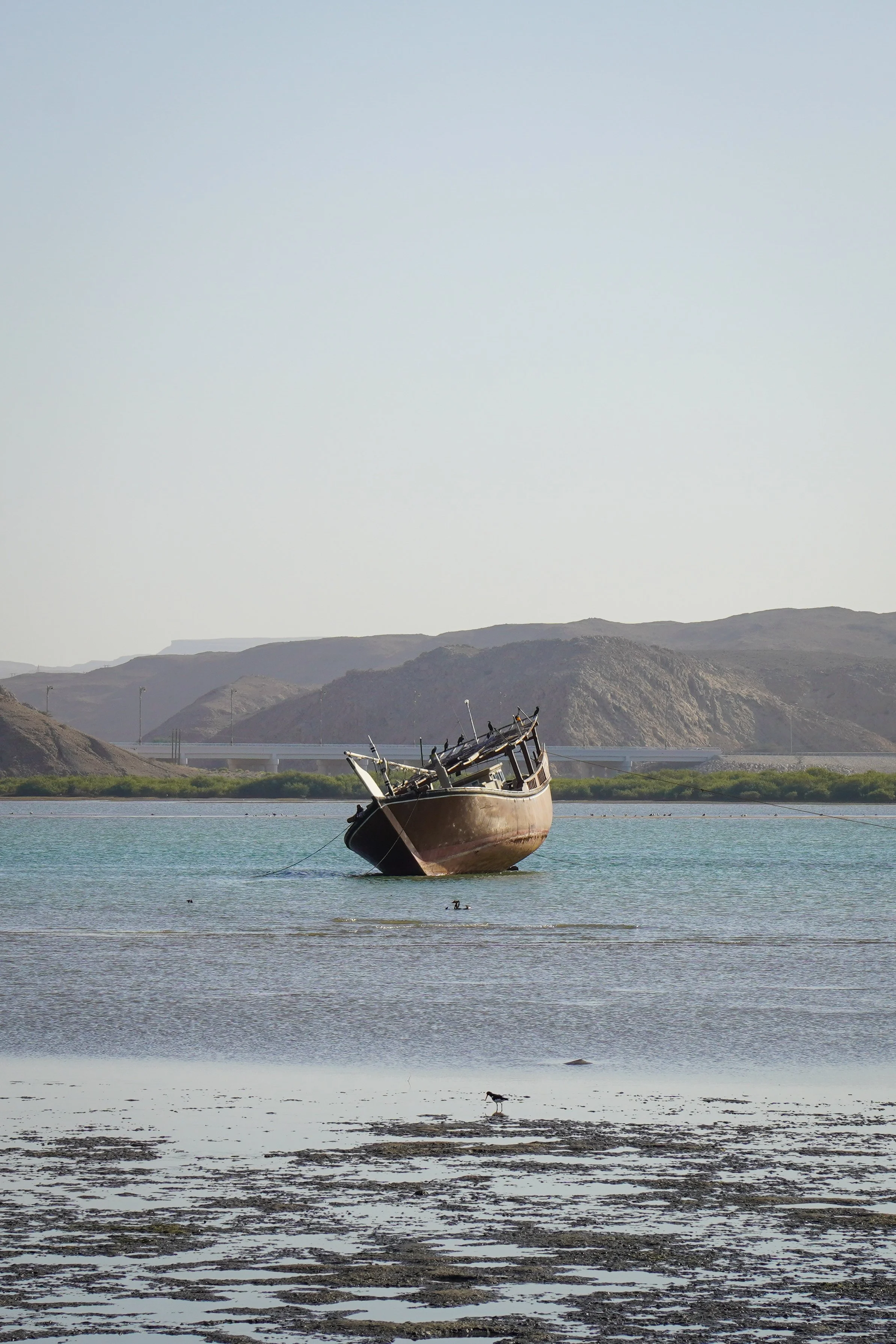 Oman-218.jpg