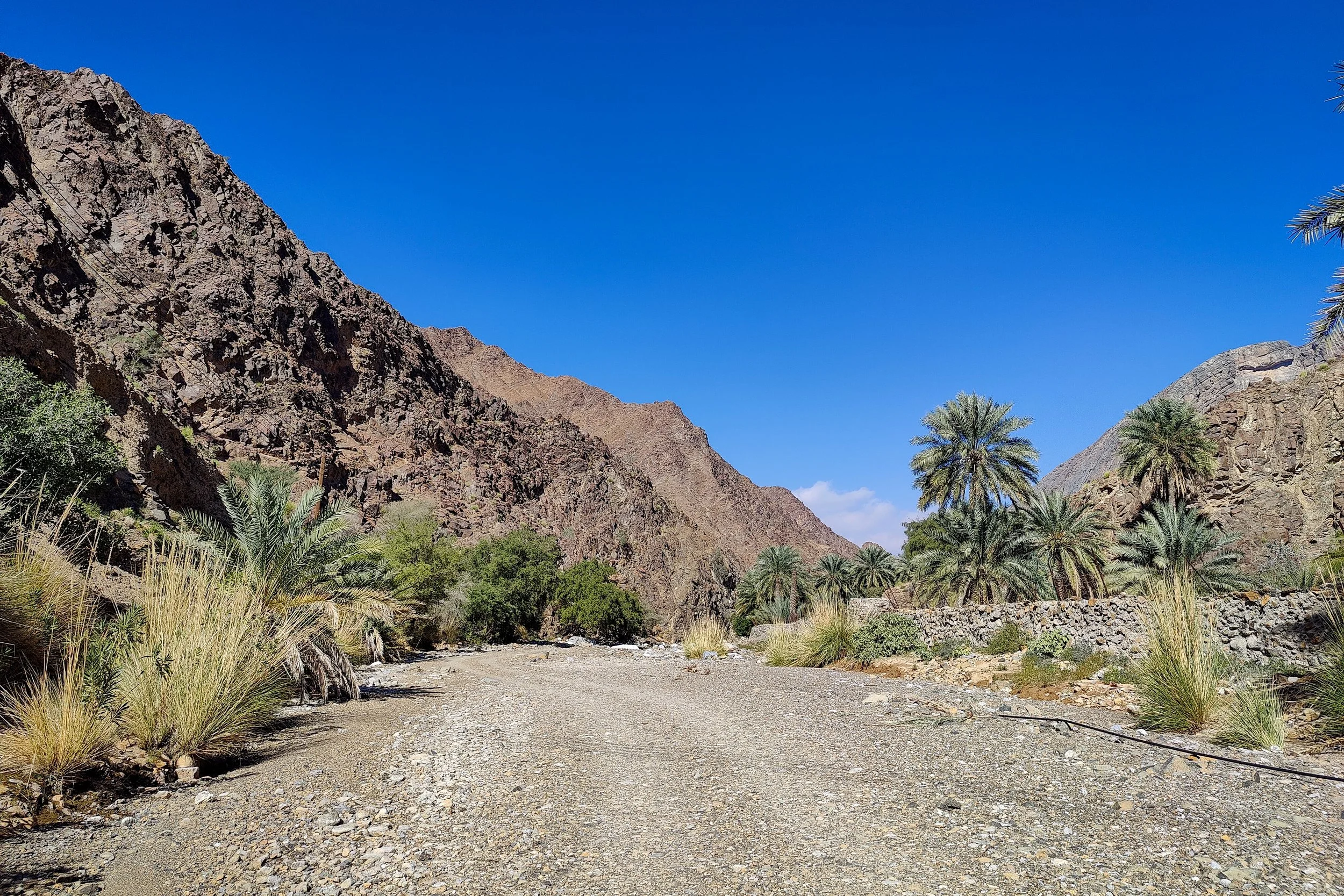 Oman-687.jpg