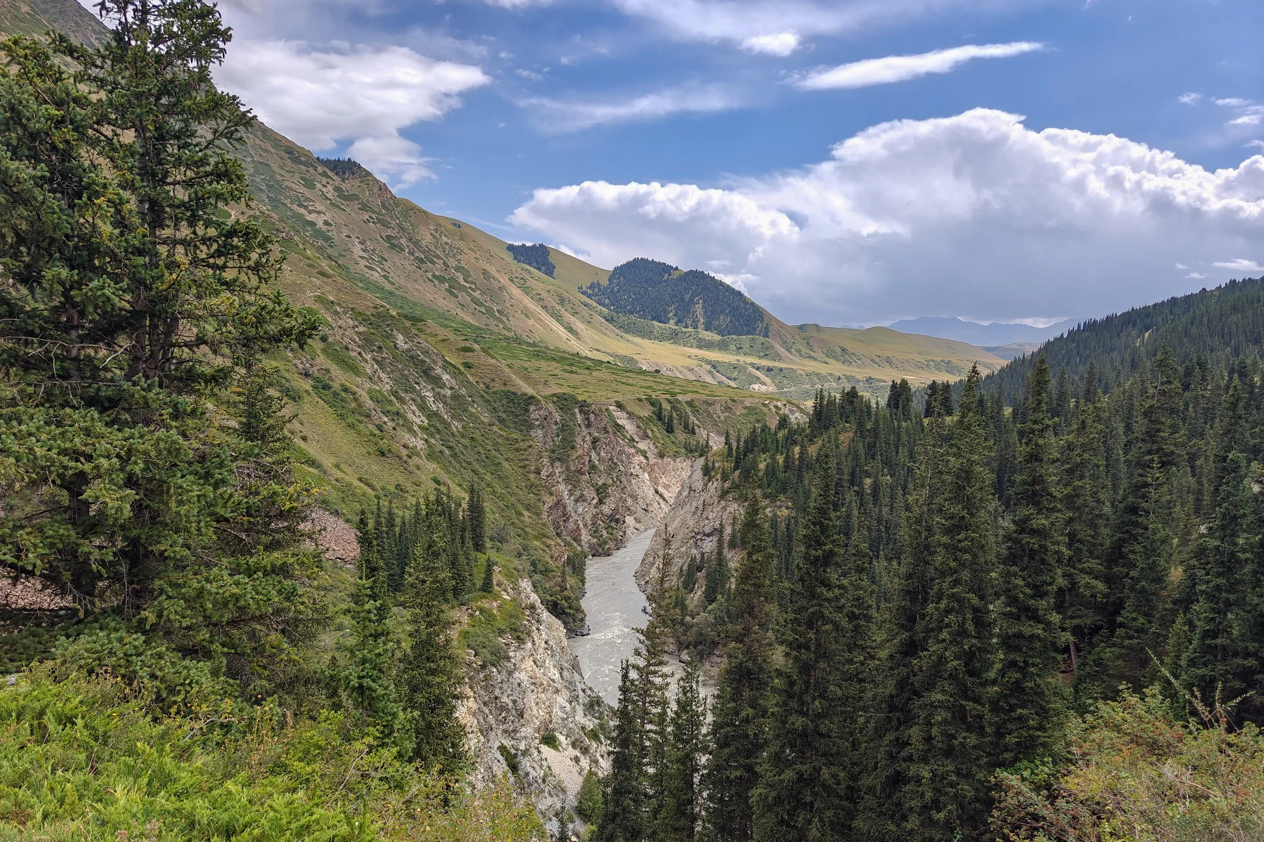 Great Game (2024)-0883.jpg