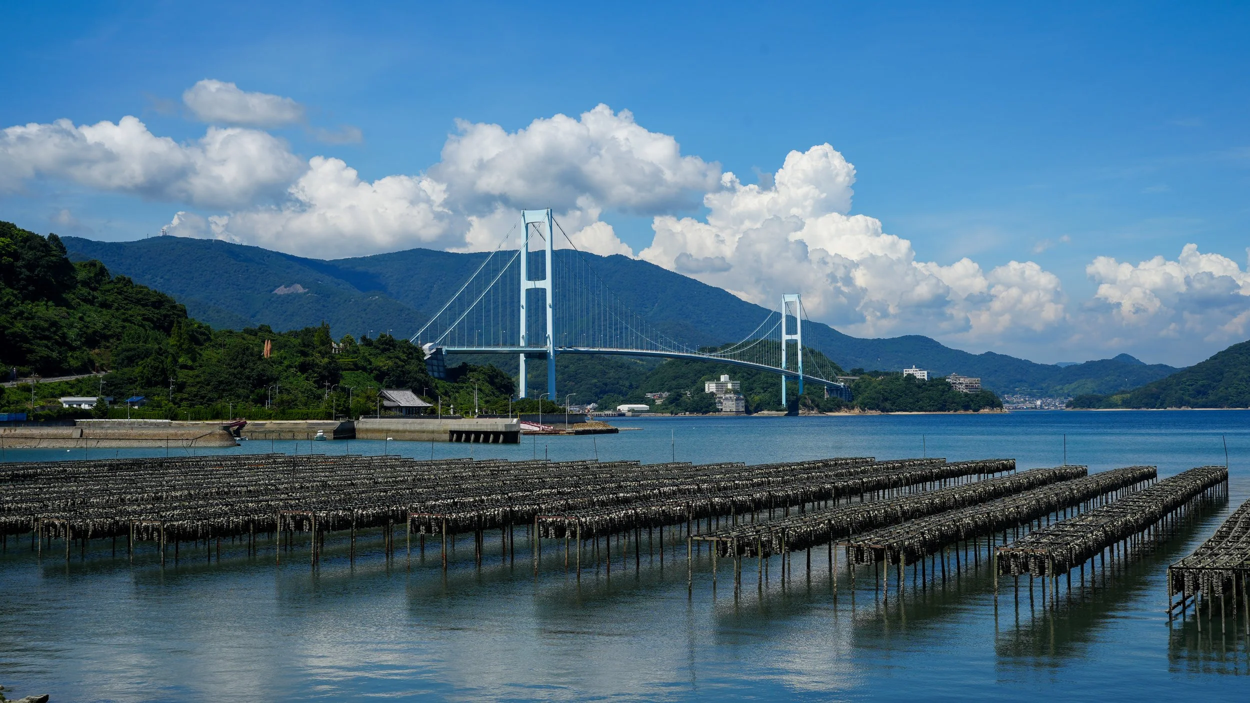 Nippon-0958.jpg