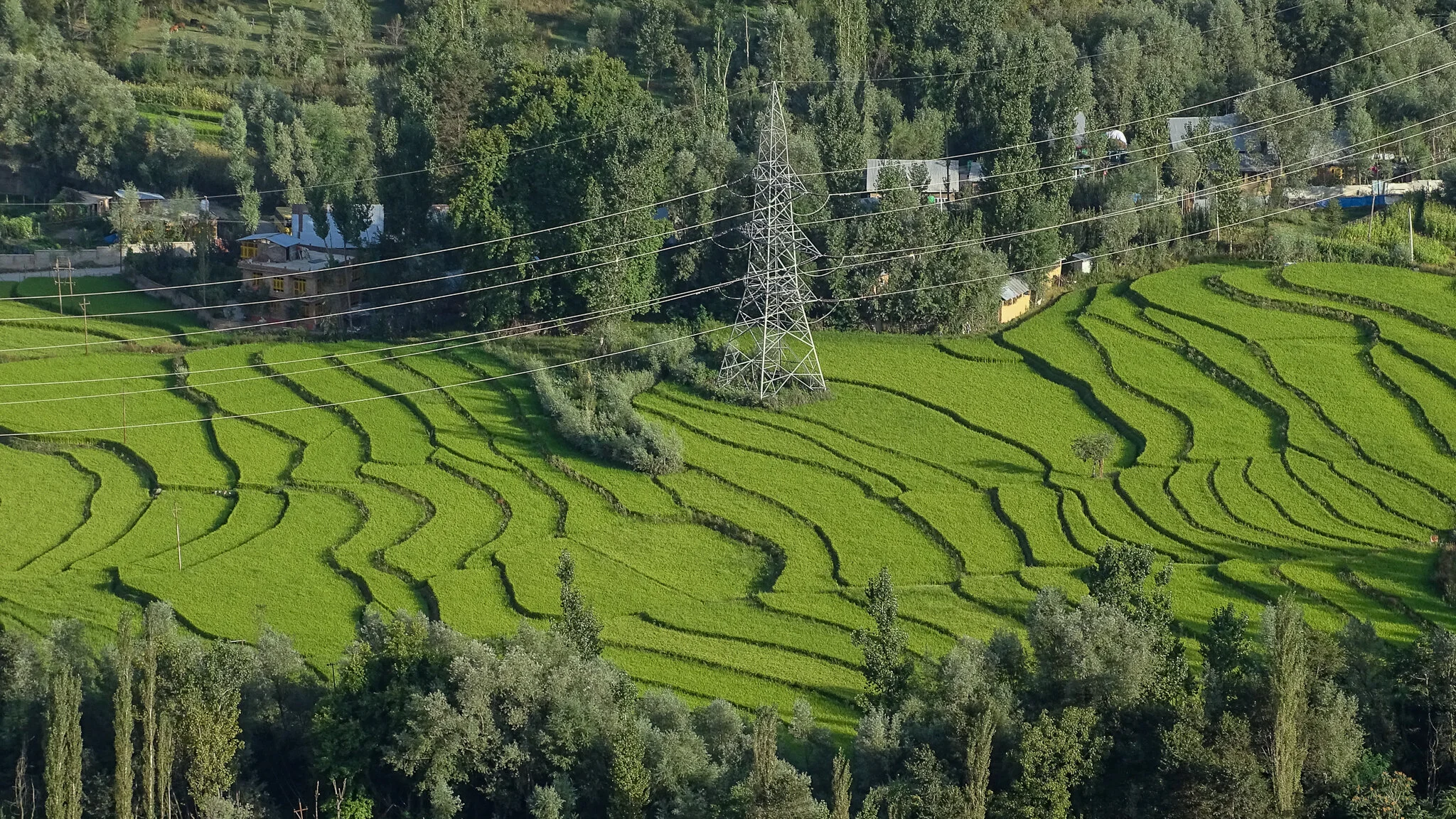 Himmelfahrt-238.jpg