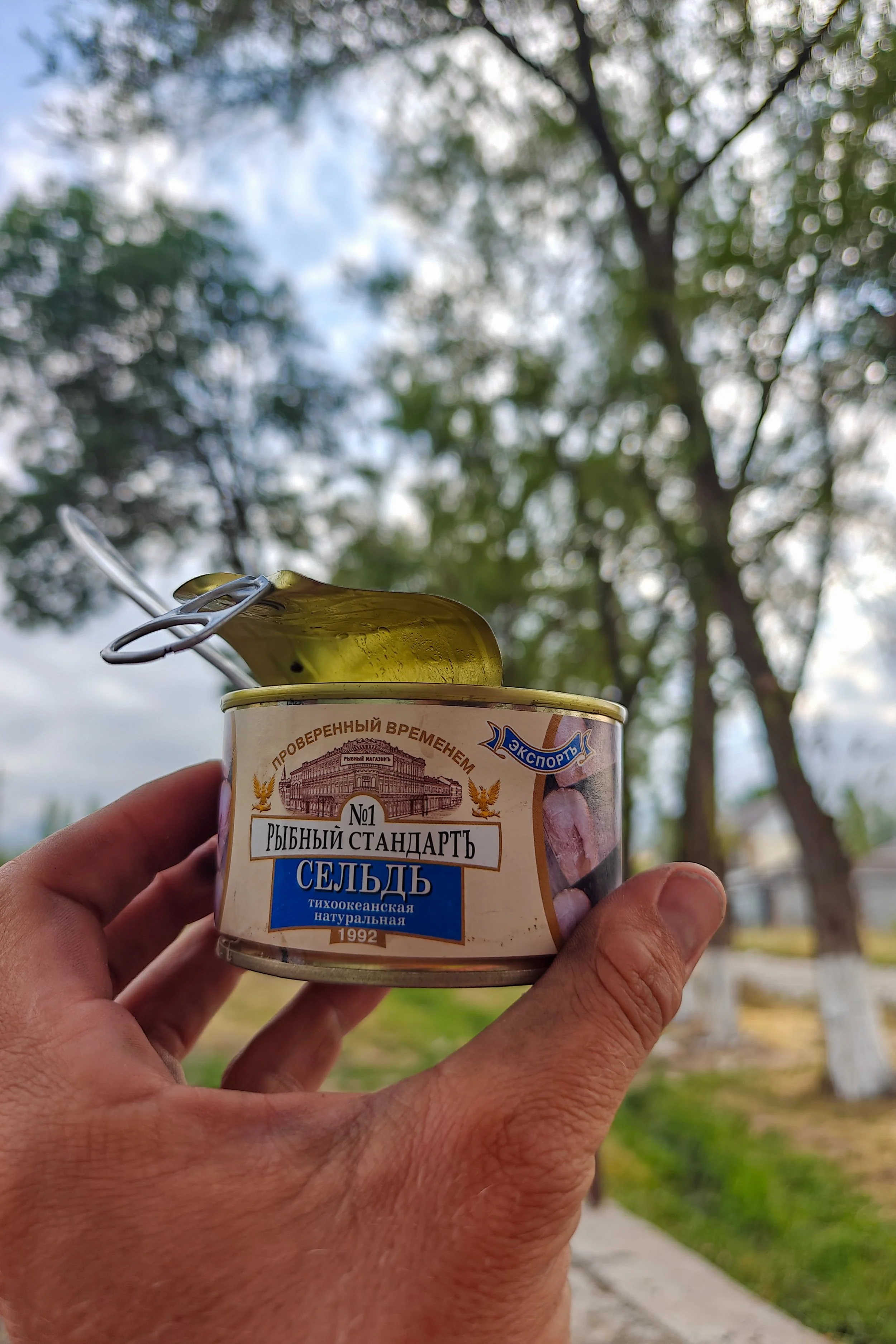 Great Game (2024)-064.jpg