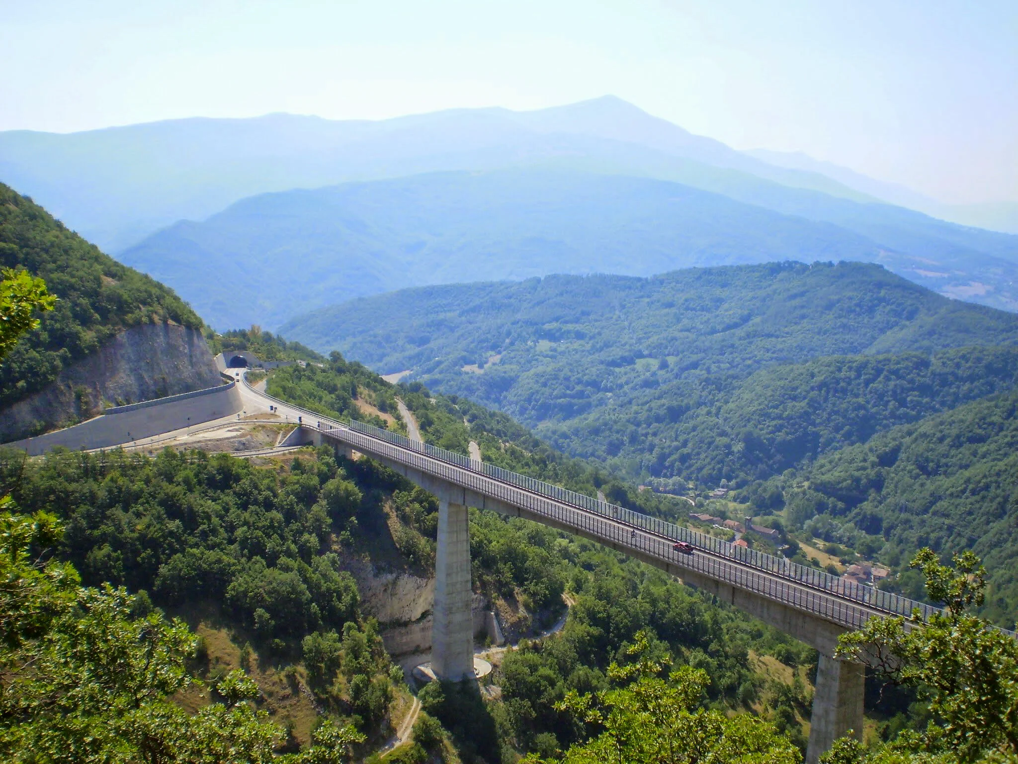 ilMagnicifo-078.jpg