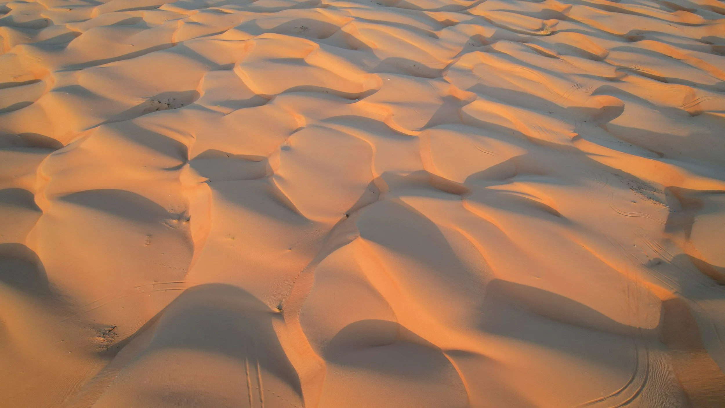 Oman-288.jpg