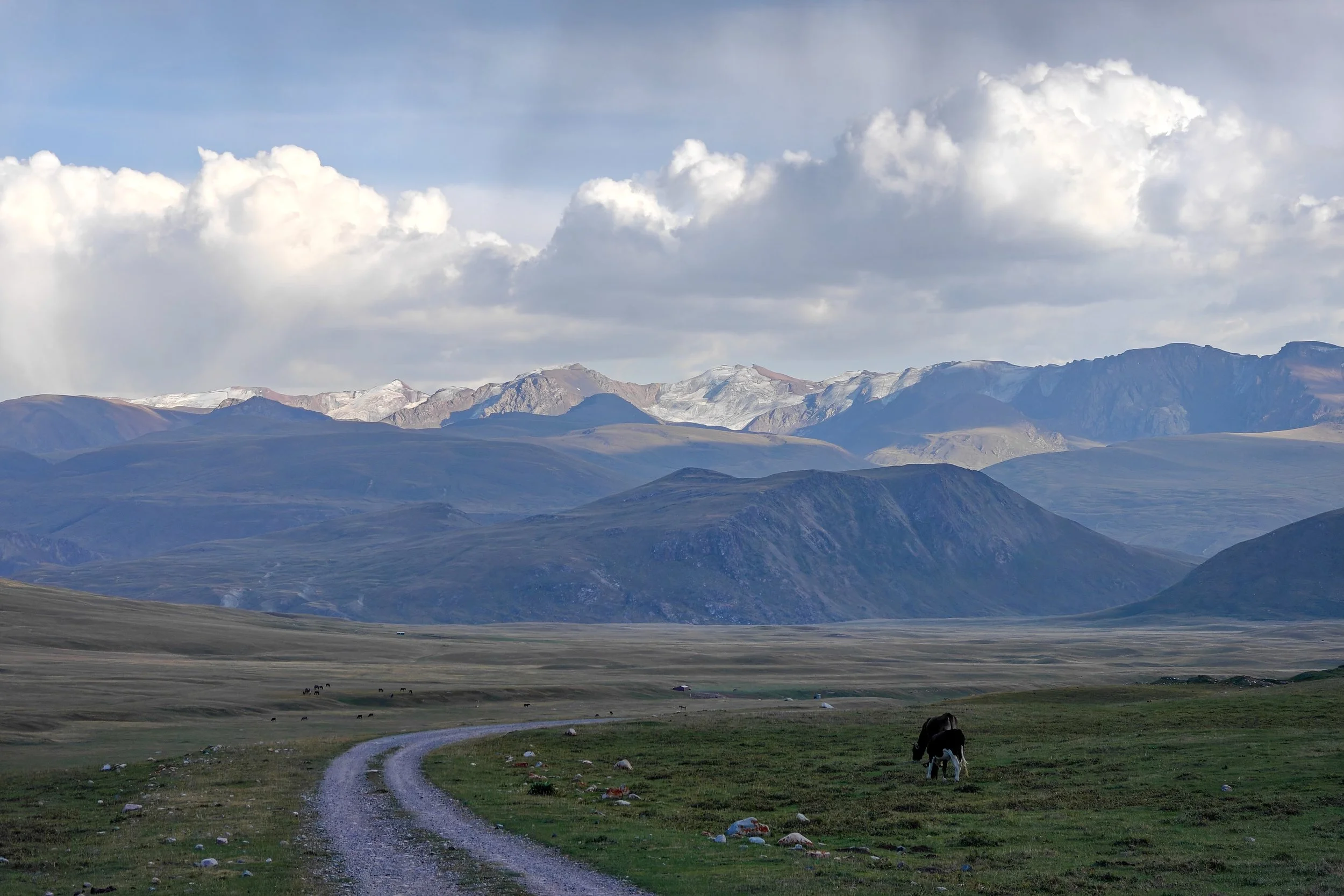 Great Game (2024)-0949.jpg