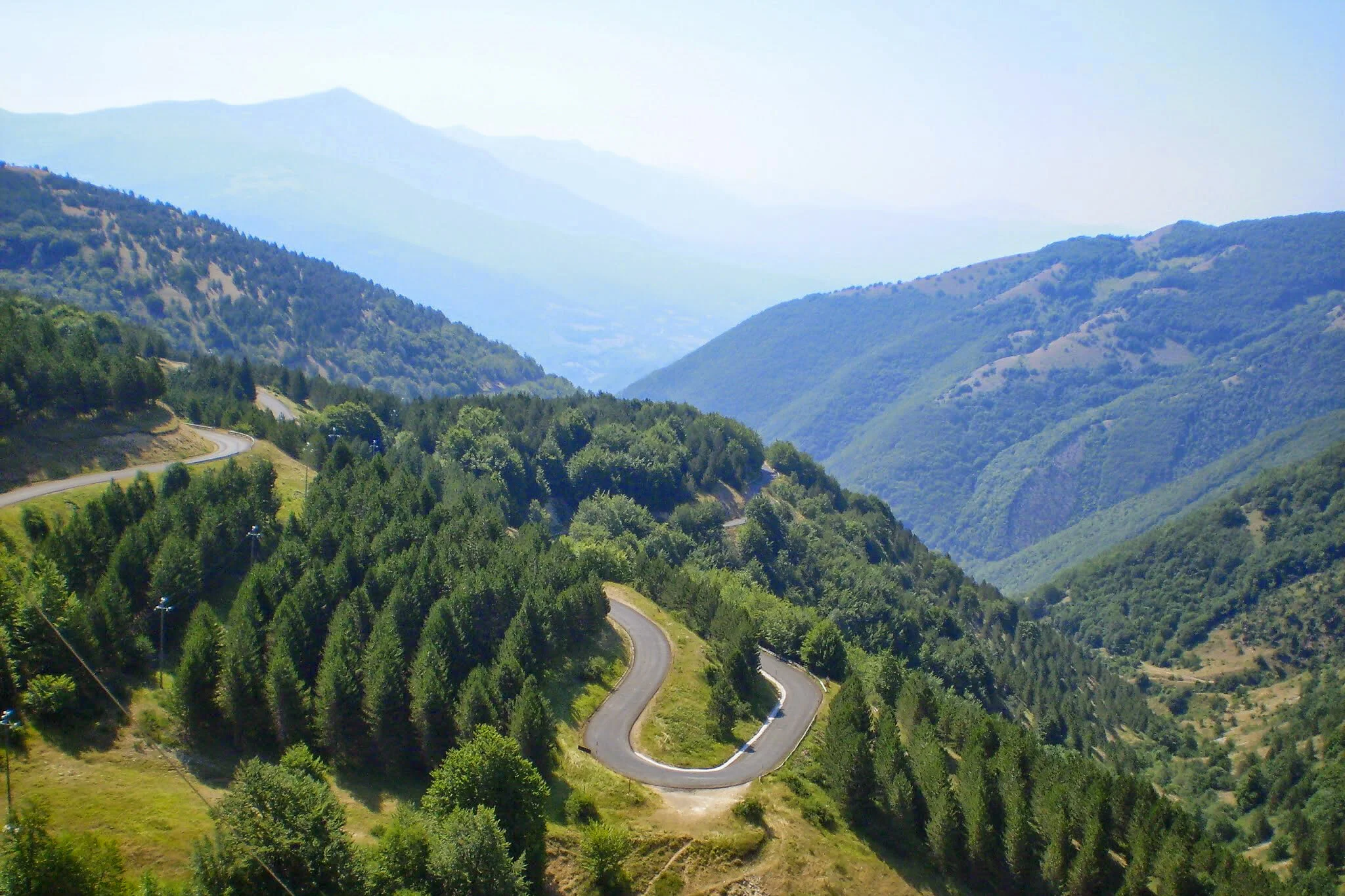 ilMagnicifo-077.jpg
