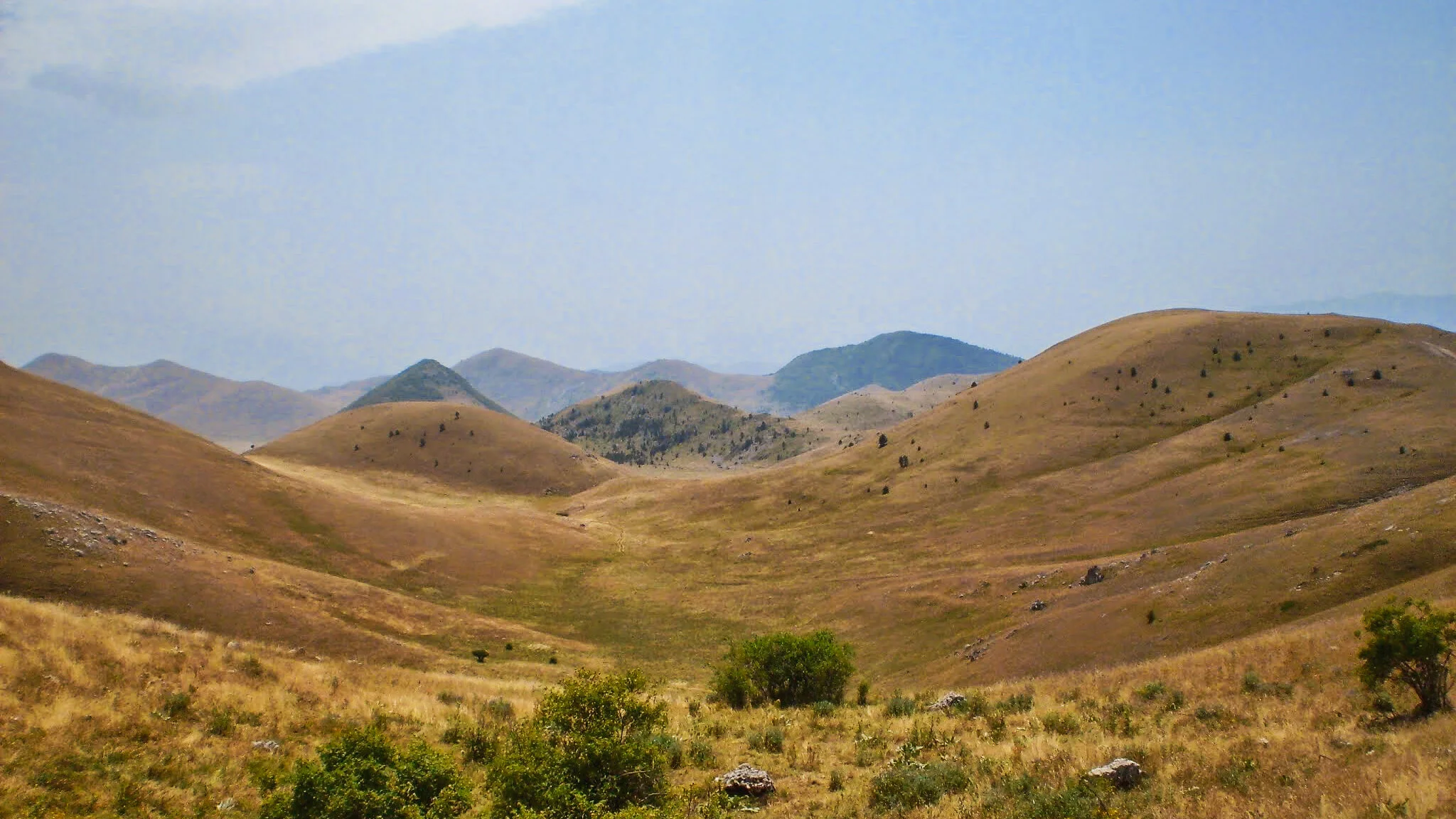 ilMagnicifo-133.jpg