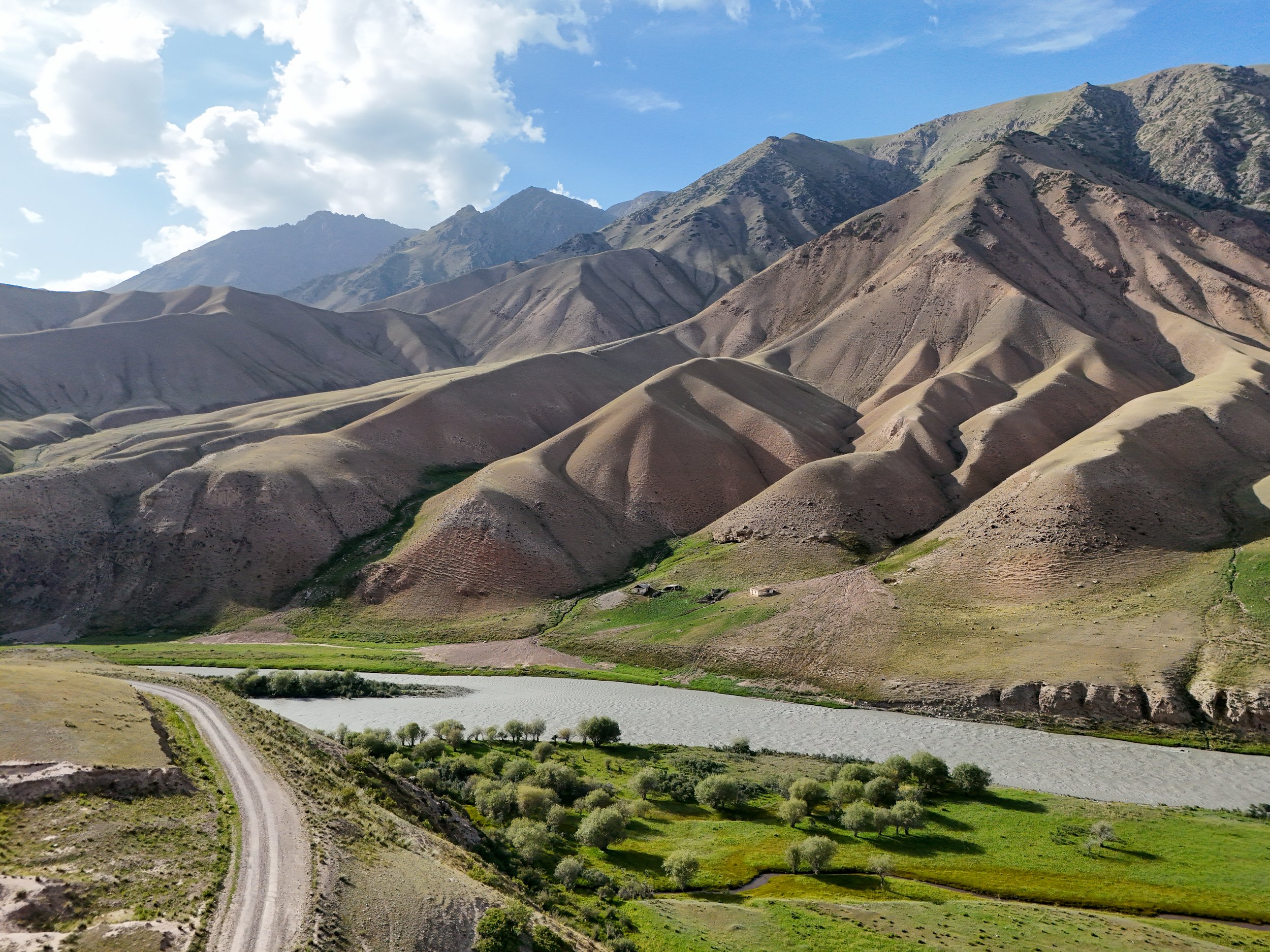 Great Game (2024)-0893.jpg