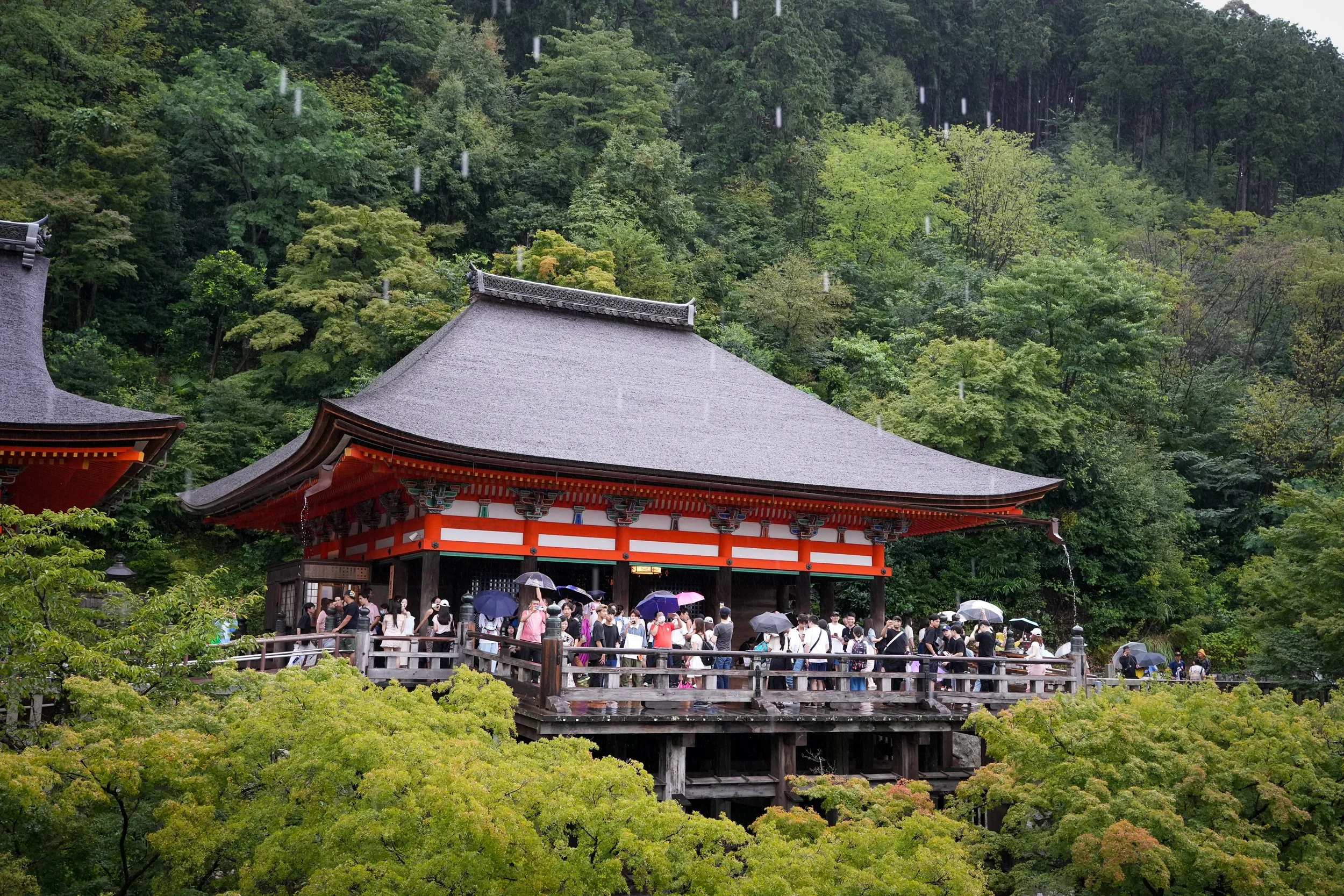 Nippon-0666.jpg