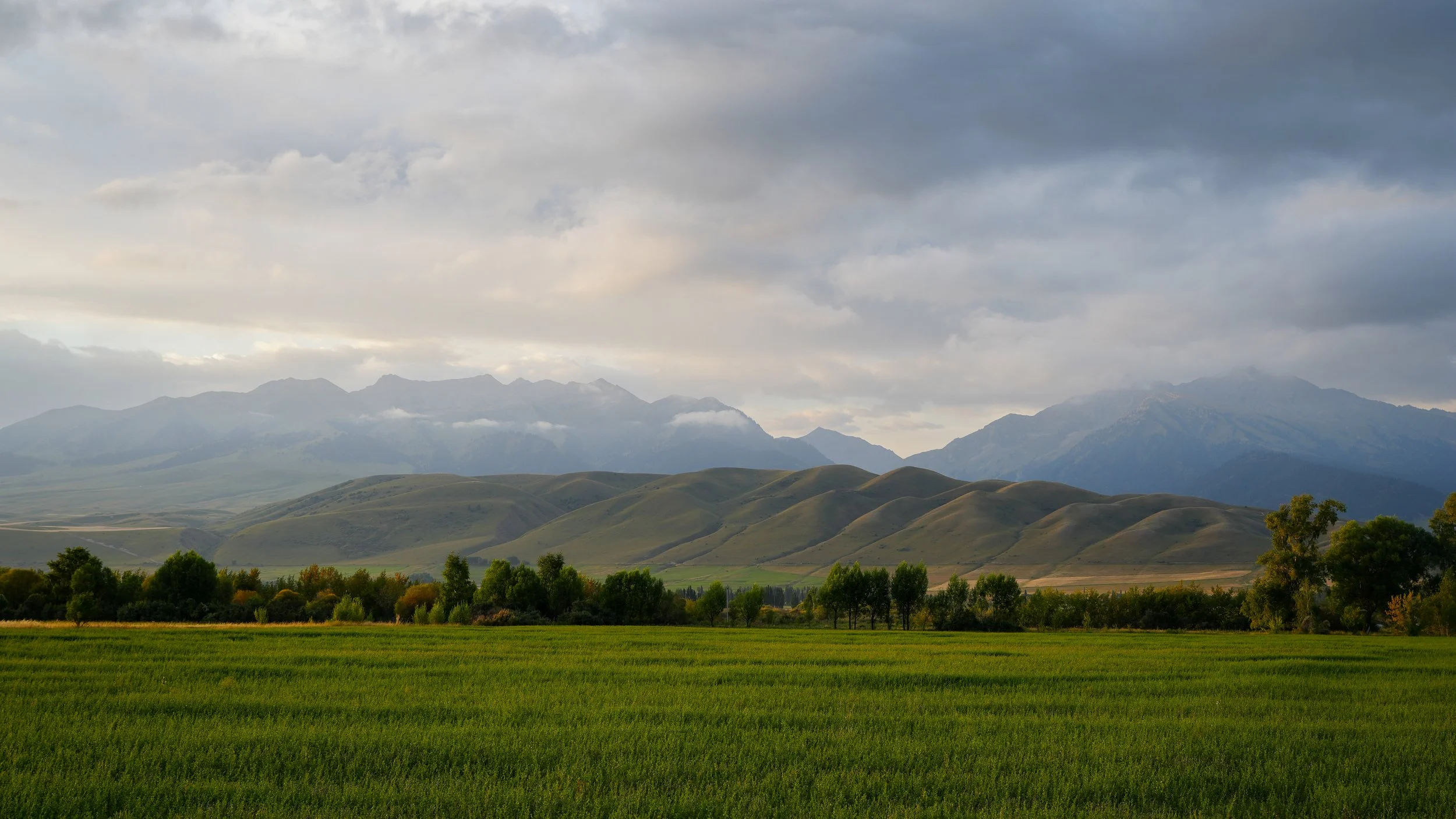 Great Game (2024)-1182.jpg