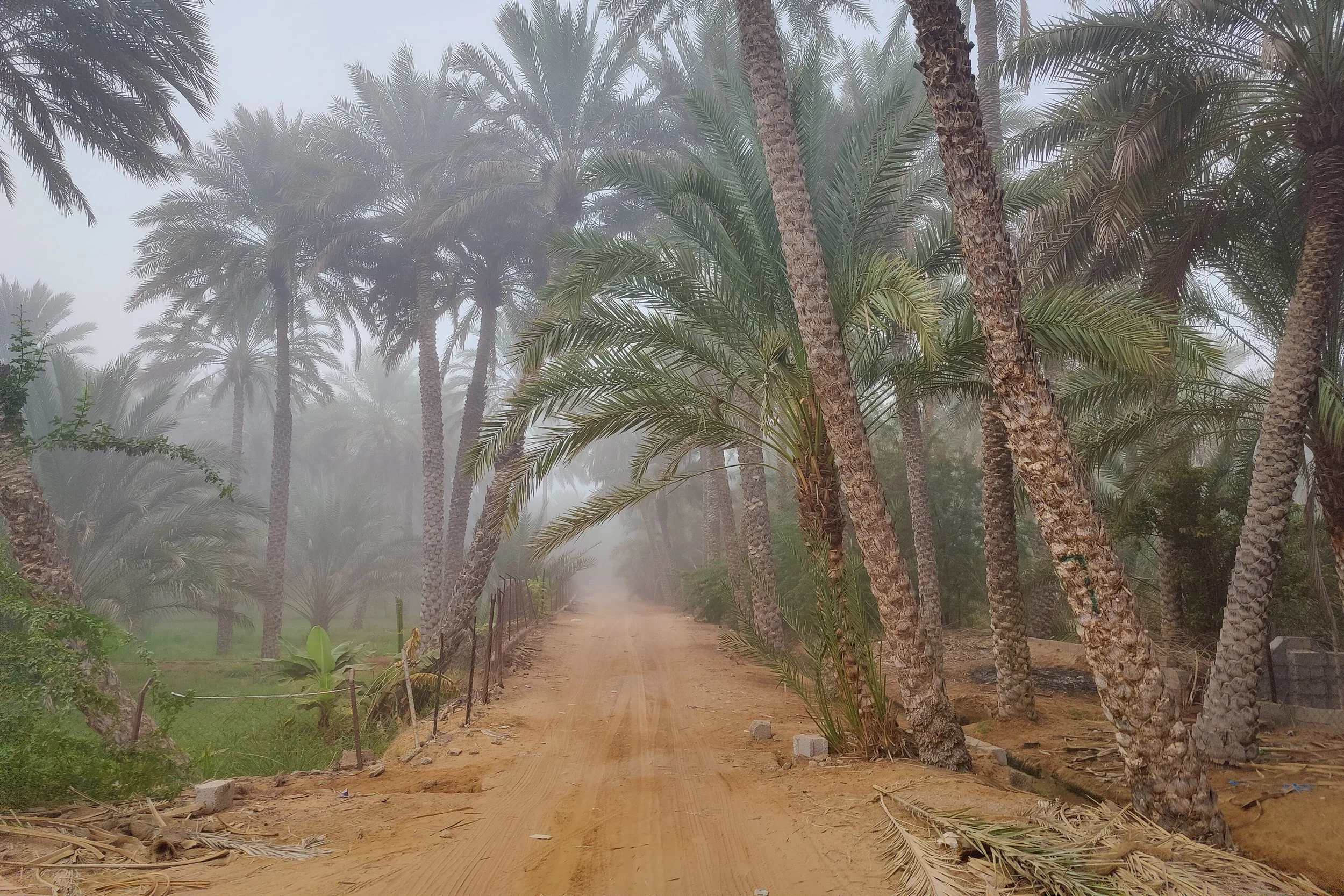 Oman-306.jpg
