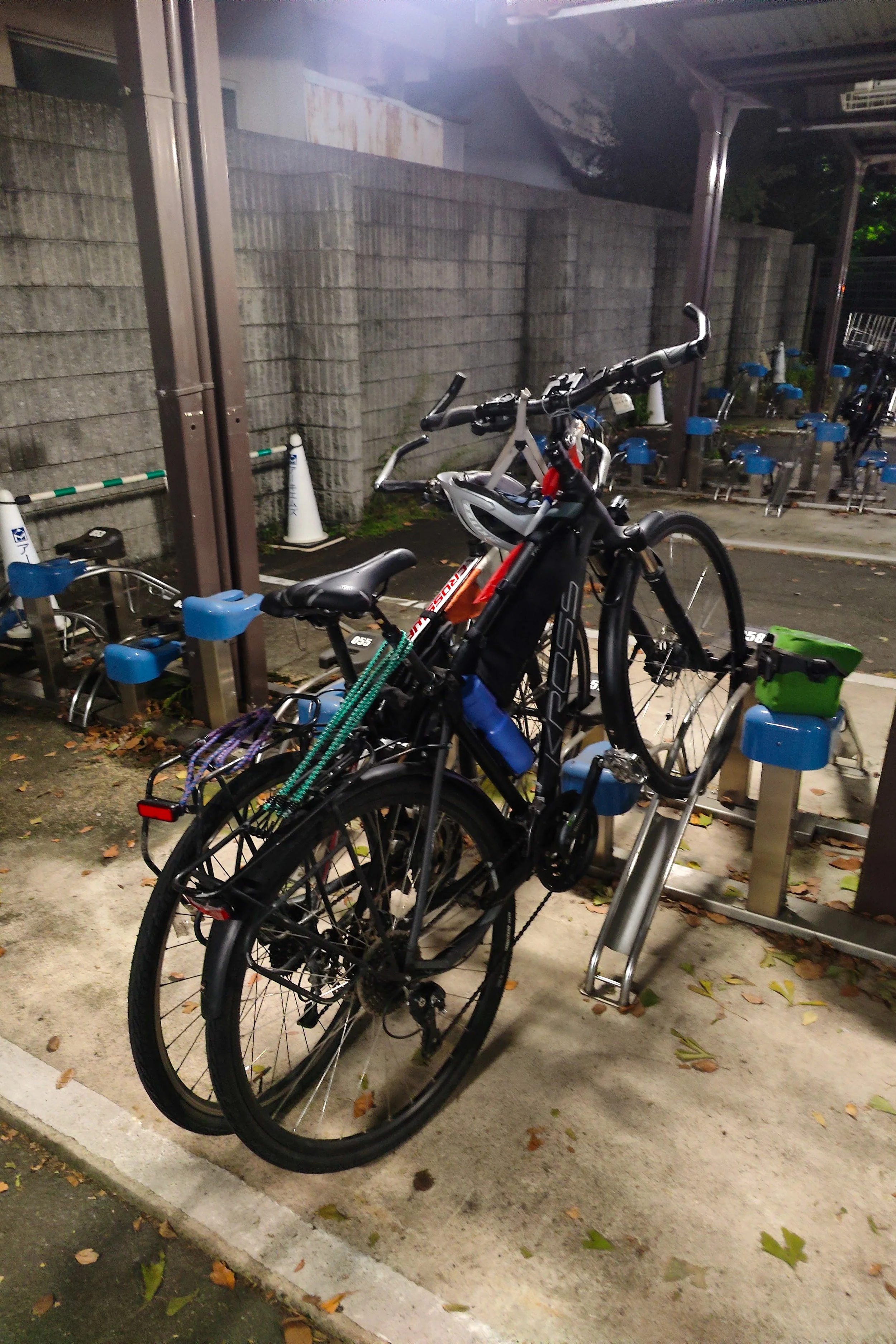 Nippon-0595.jpg