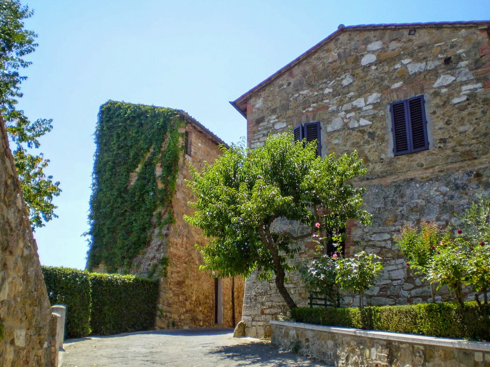 ilMagnicifo-024.jpg