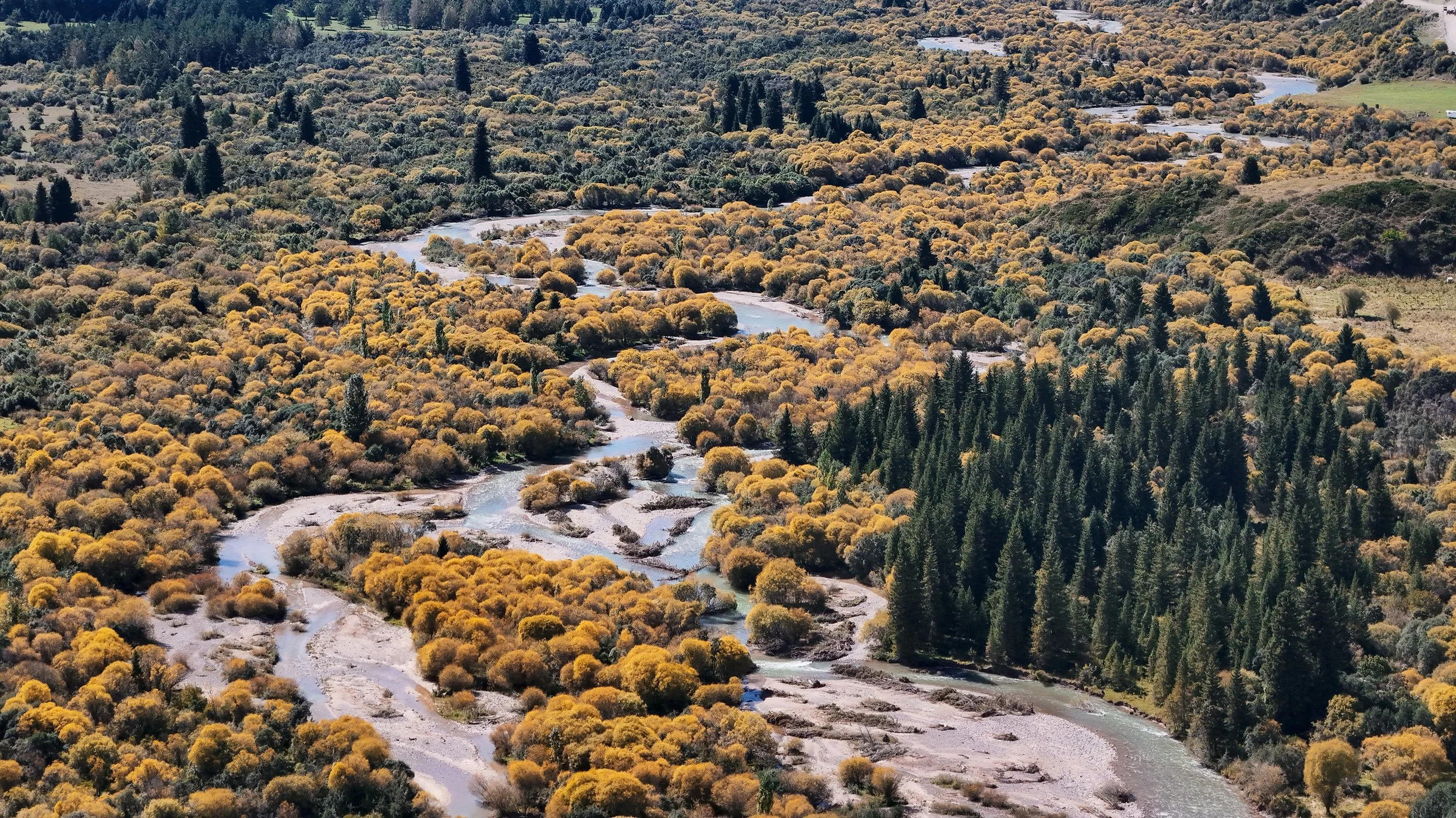 Great Game (2024)-1370.jpg