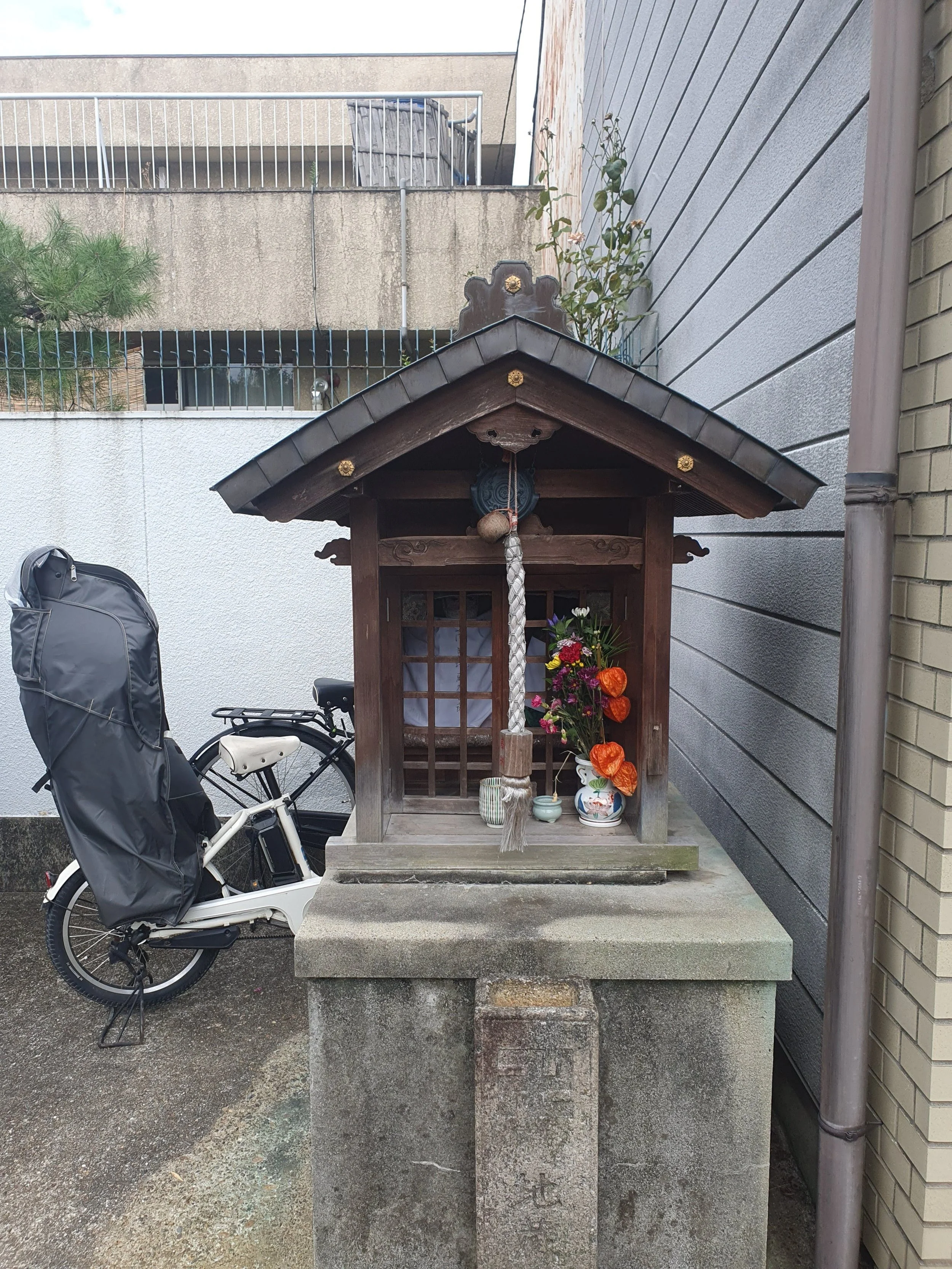 Nippon-0601.jpg