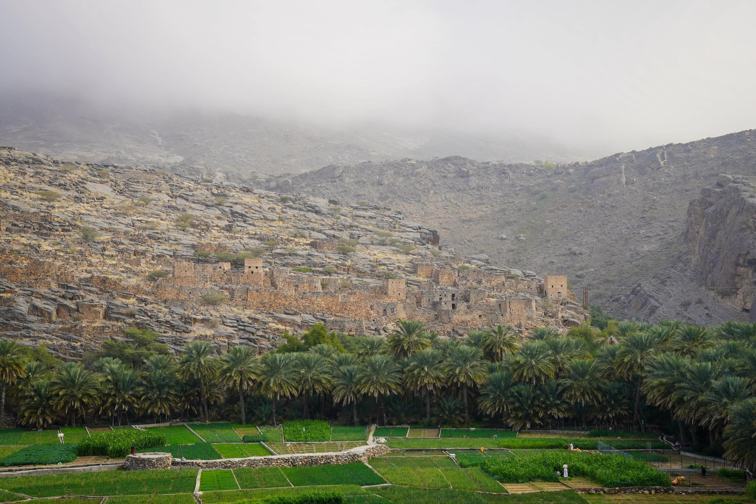 Oman-438.jpg