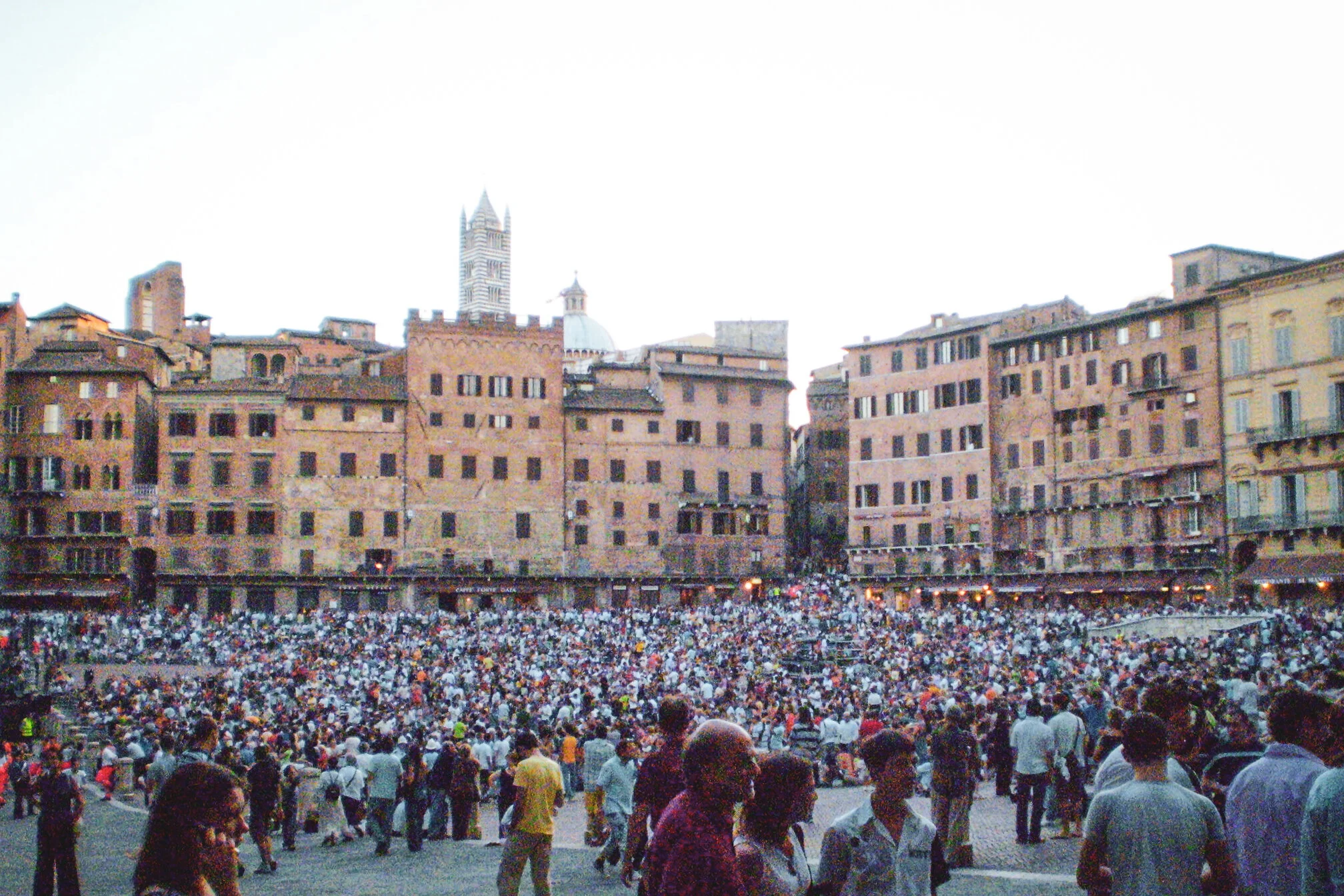 ilMagnicifo-021.jpg