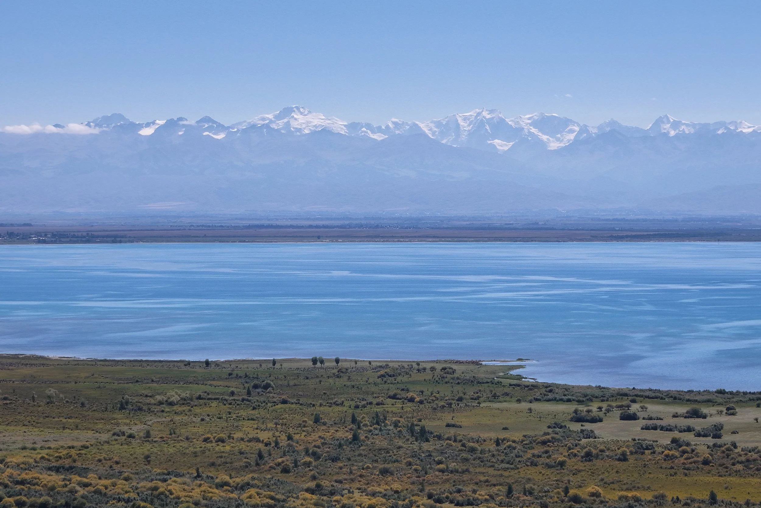 Great Game (2024)-1413.jpg