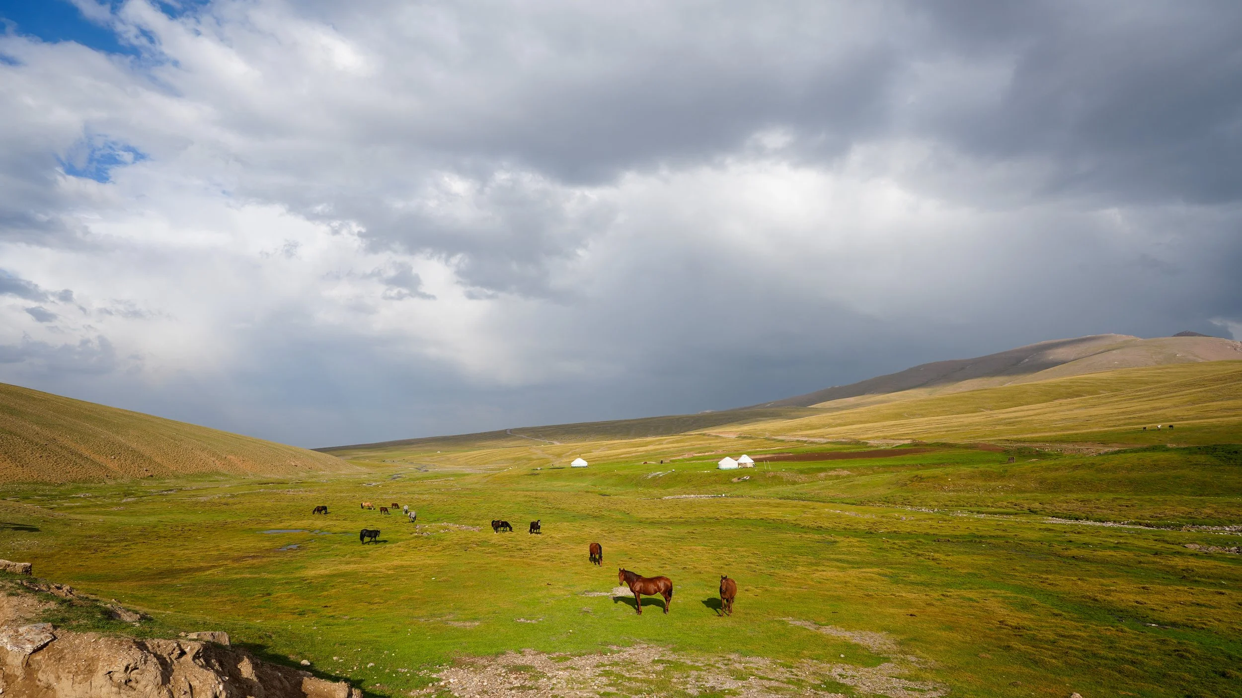 Great Game (2024)-388.jpg