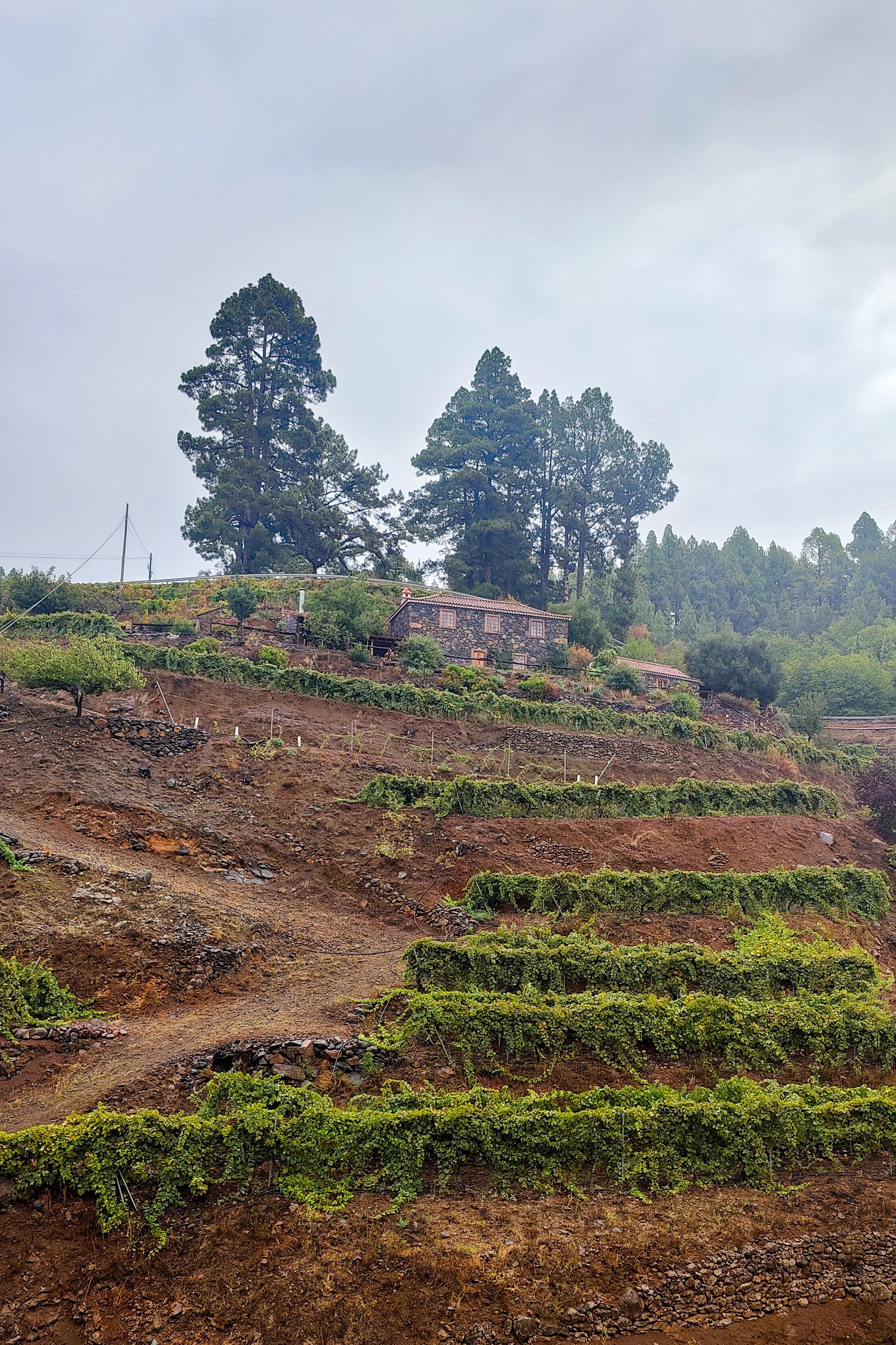 Picodromo-173.jpg