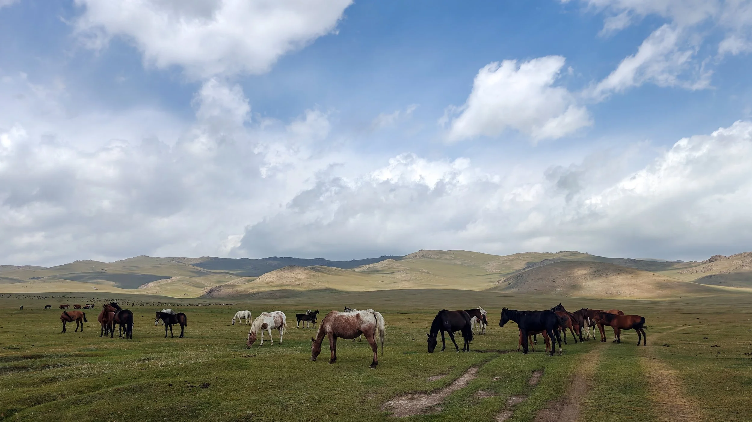 Great Game (2024)-453.jpg