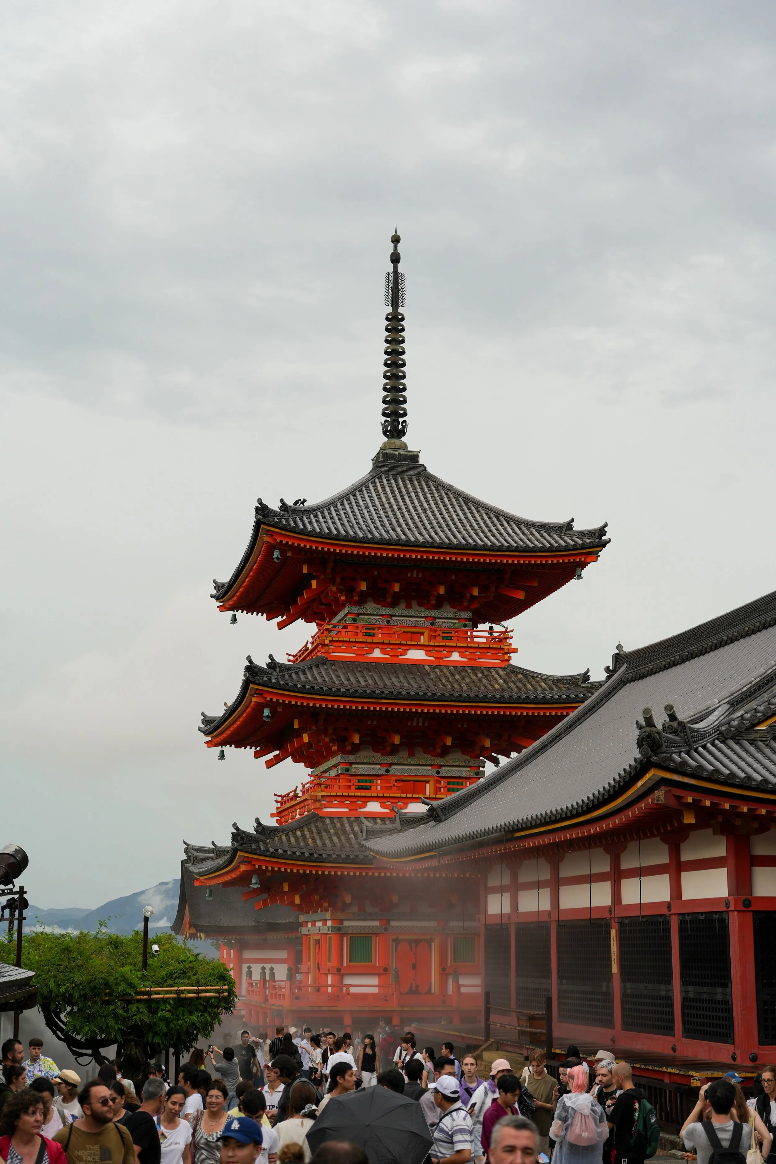 Nippon-0678.jpg