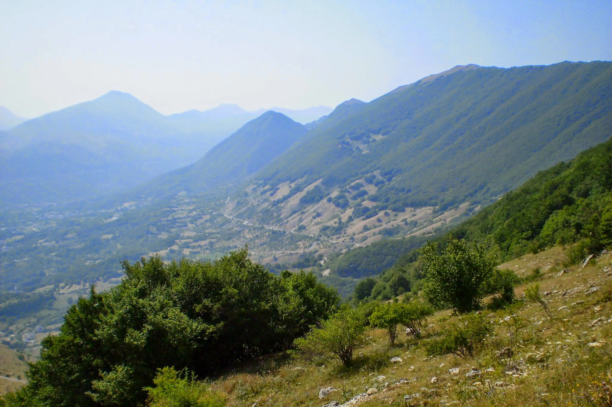 ilMagnicifo-136.jpg