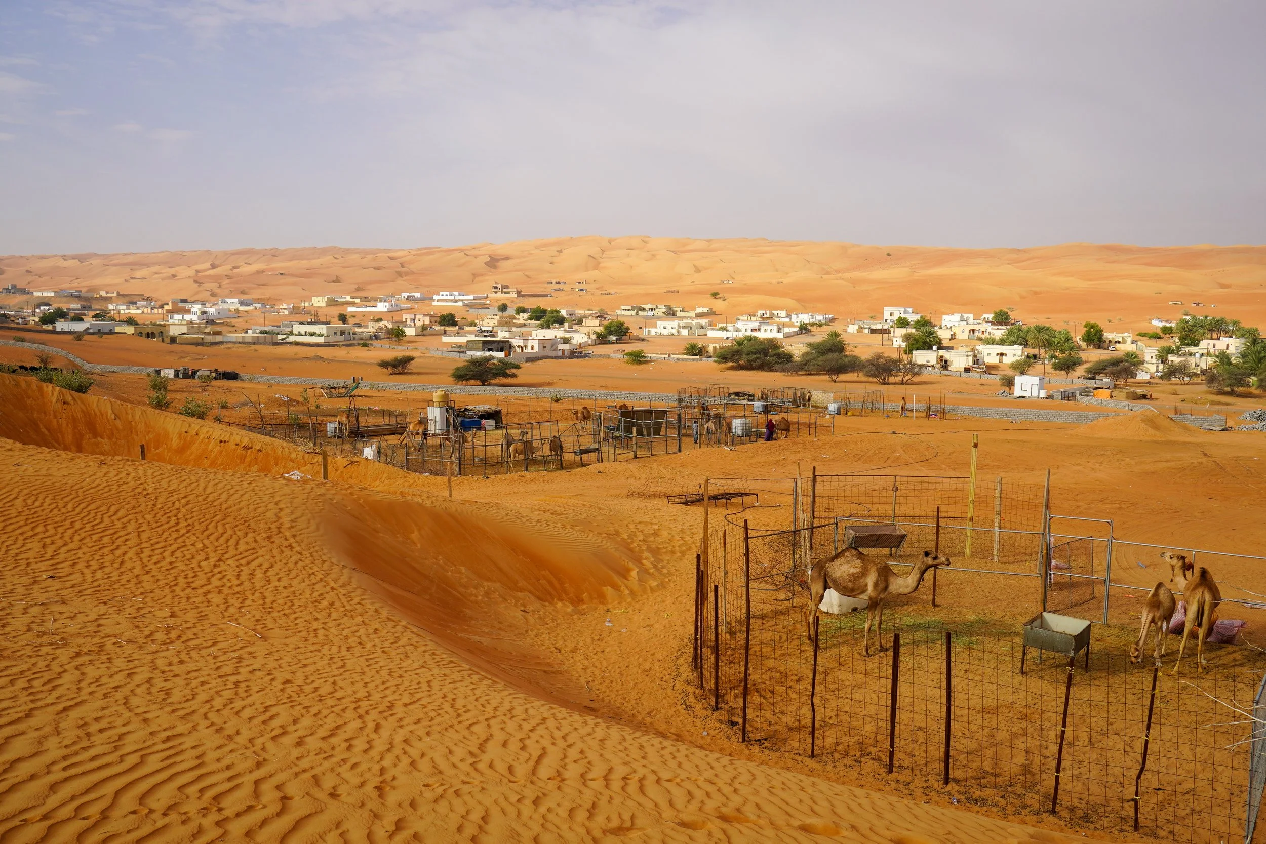 Oman-333.jpg