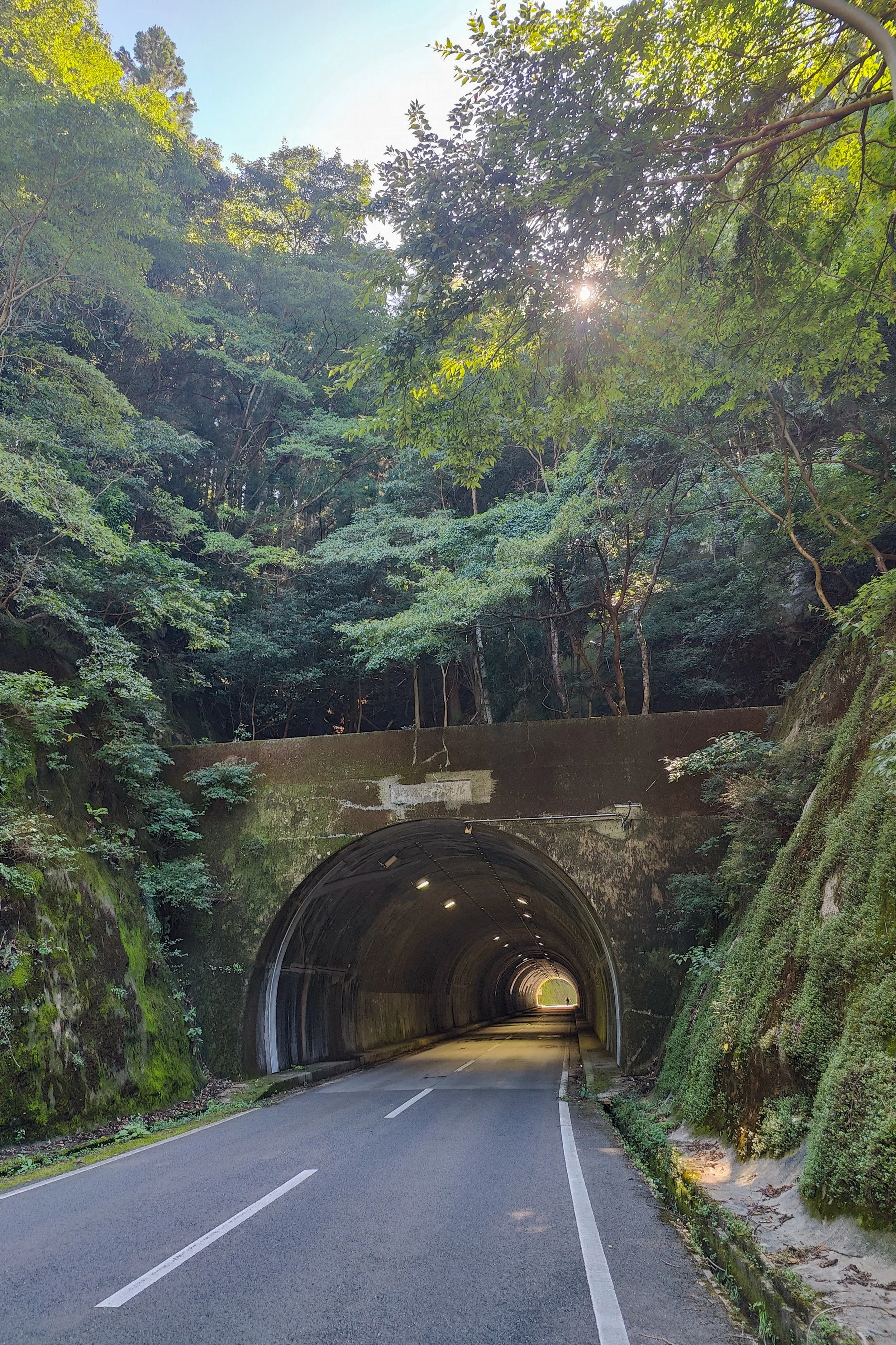 Nippon-0827.jpg