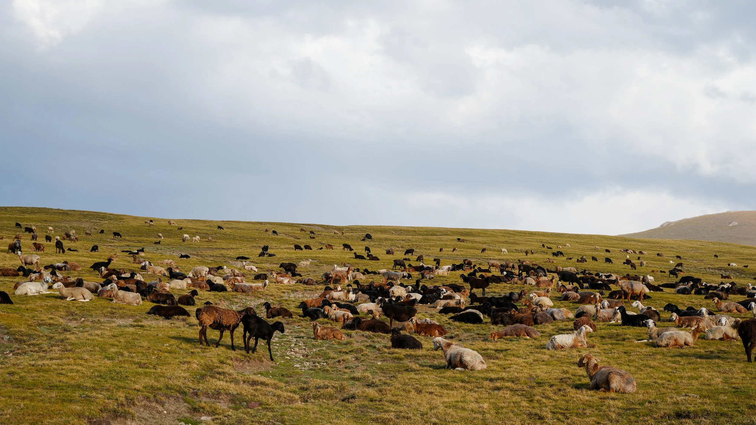 Great Game (2024)-407.jpg